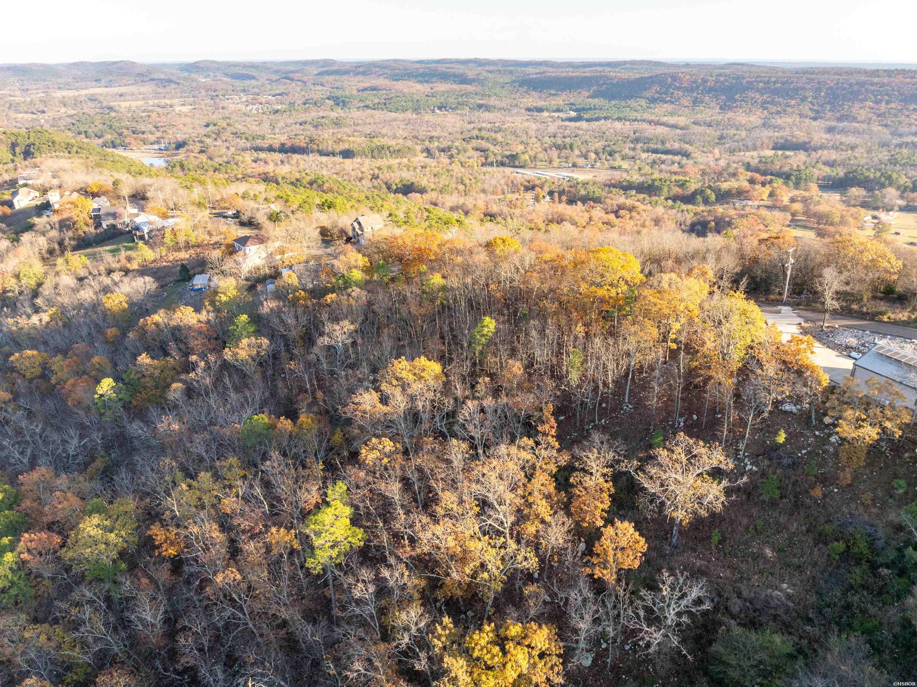 000 Mt Riante Property Photo 6