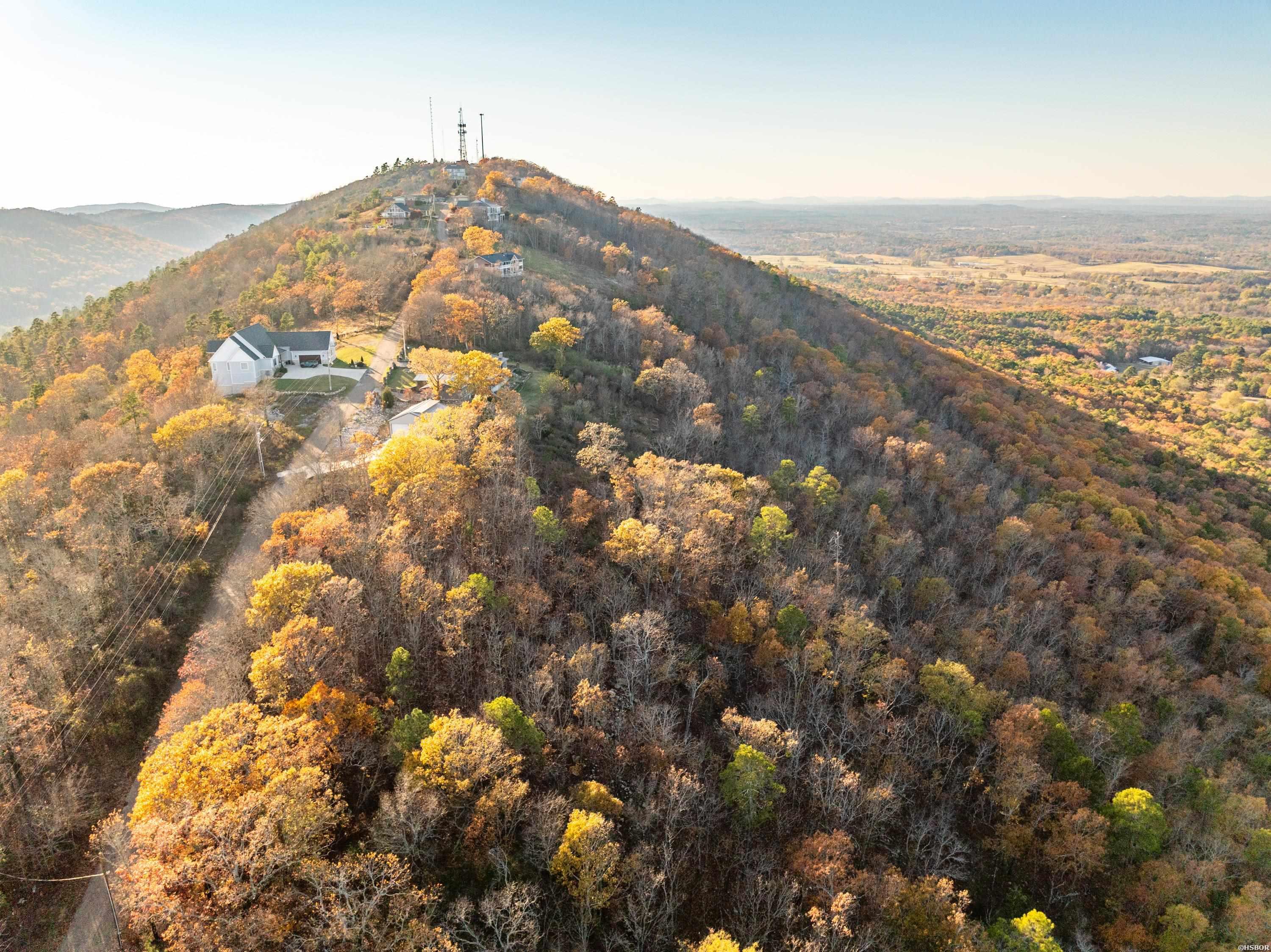 000 Mt Riante Property Photo 10