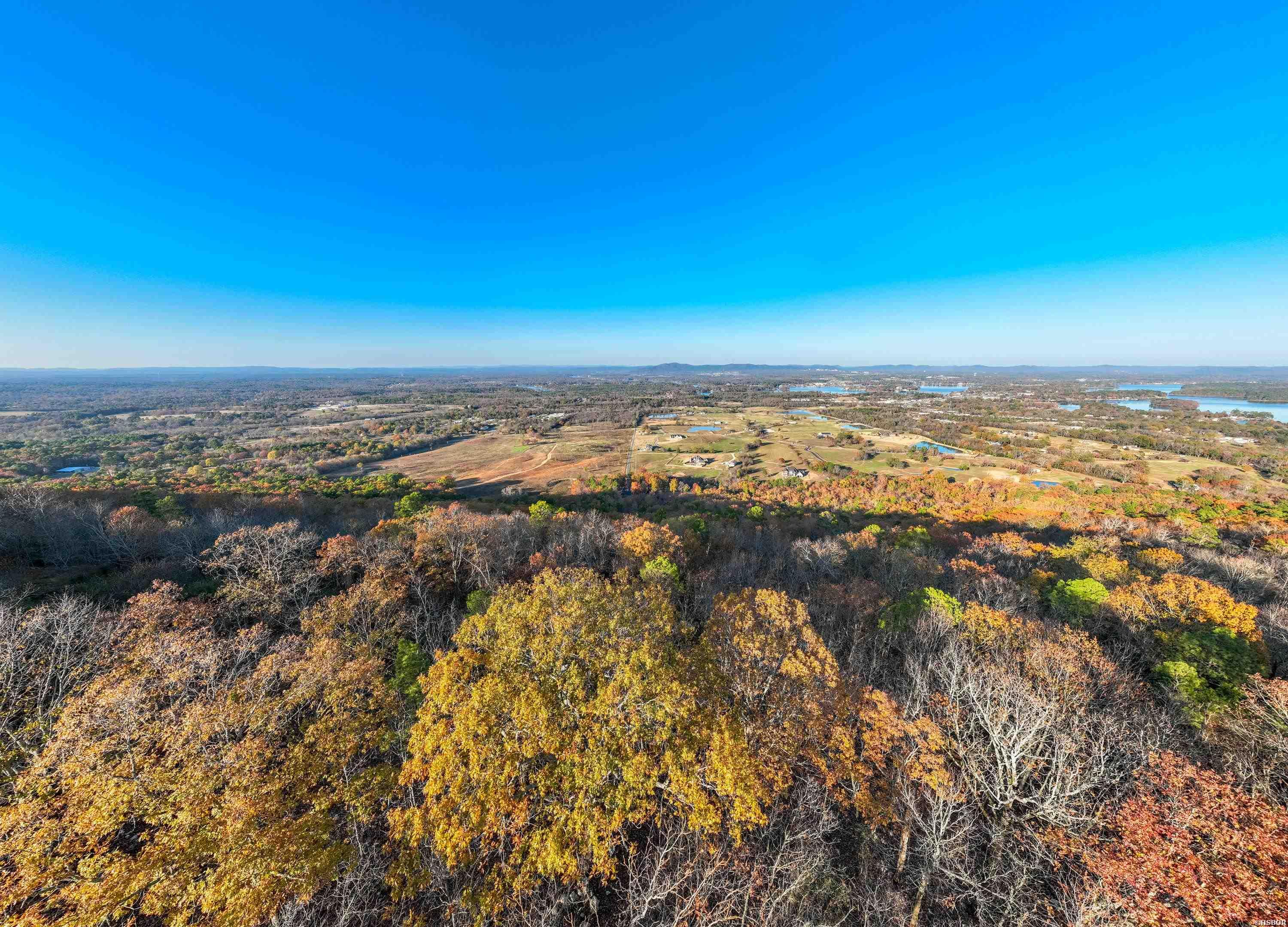000 Mt Riante Property Photo 13