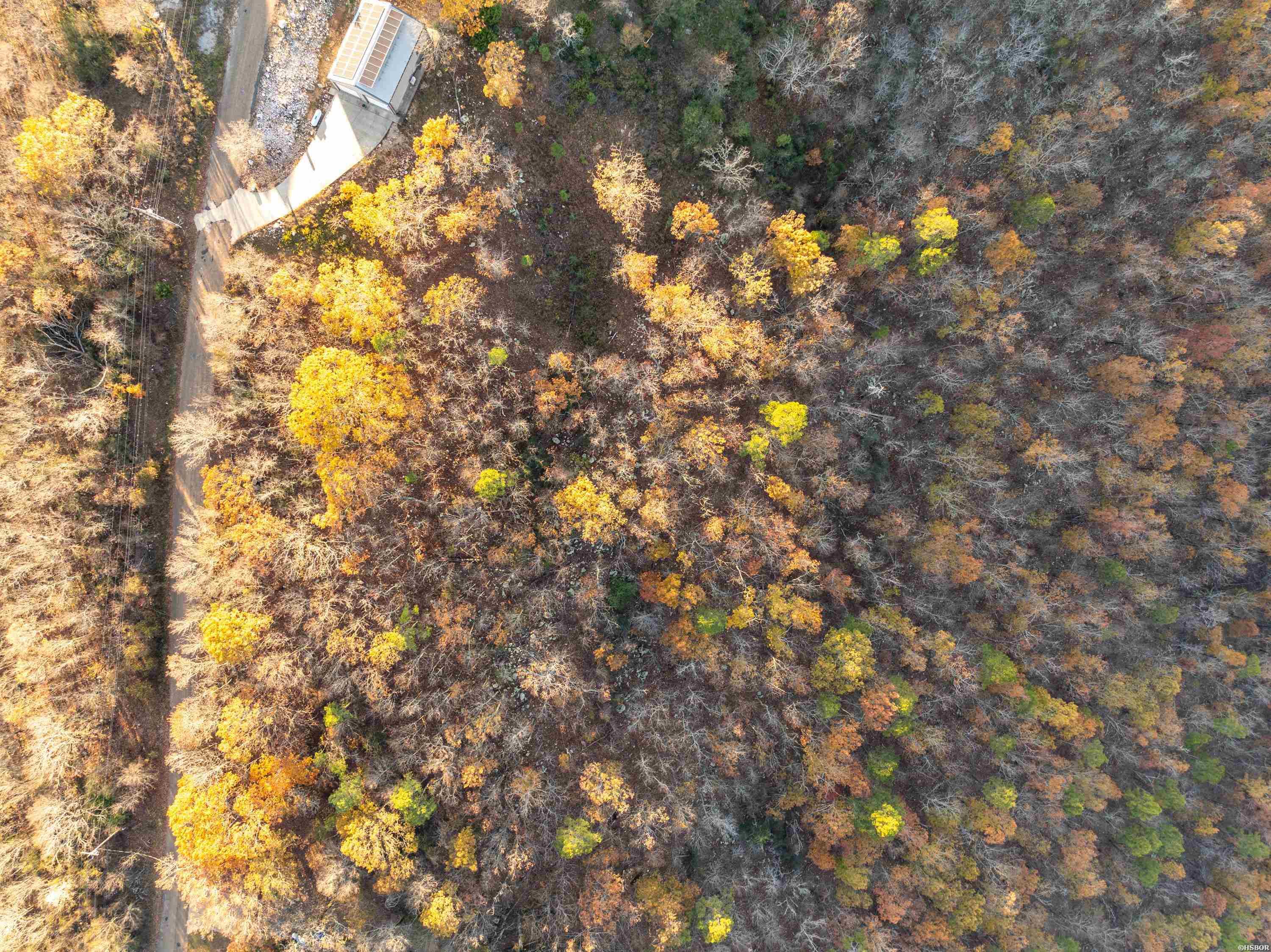 000 Mt Riante Property Photo 15