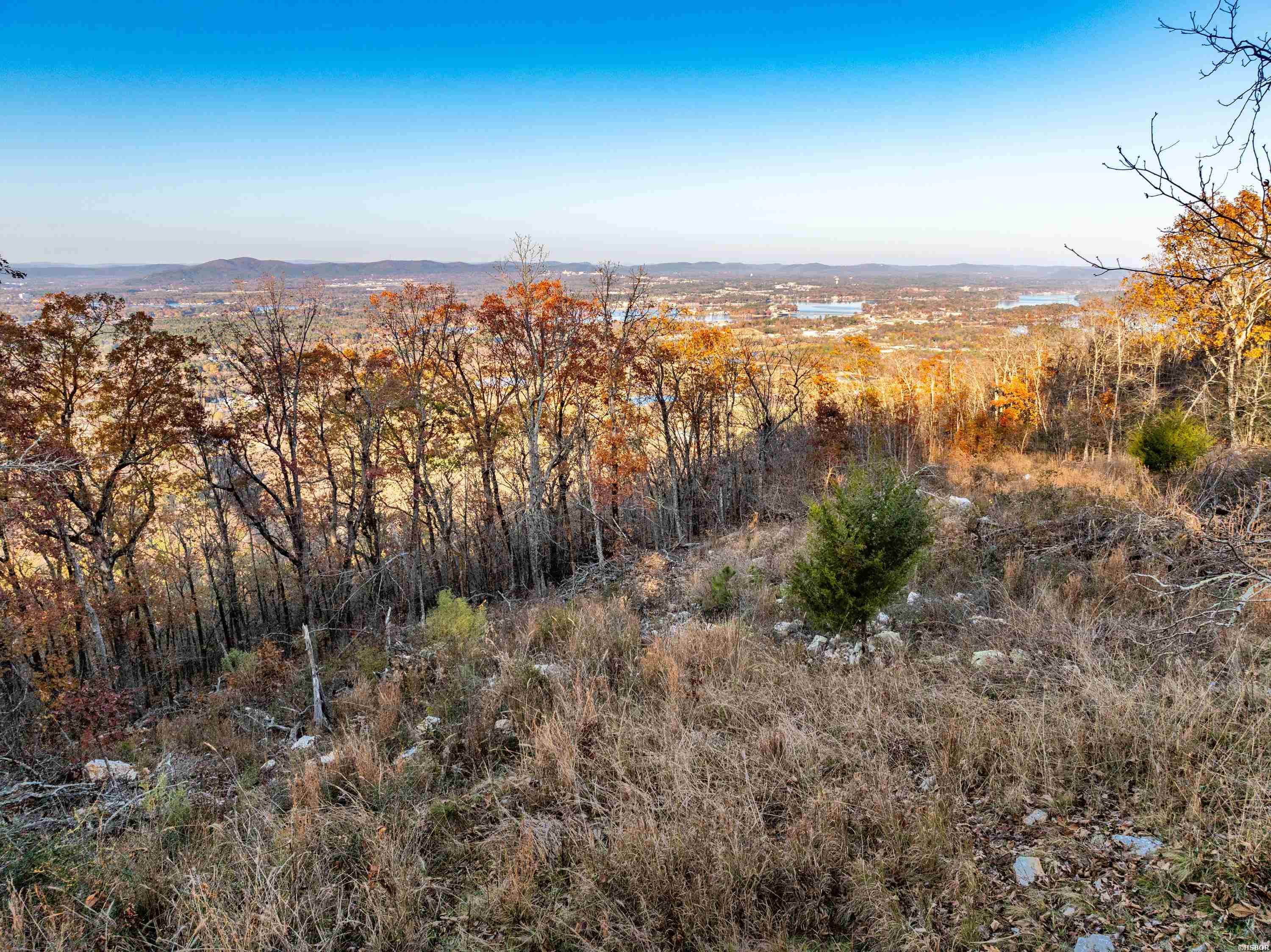 000 Mt Riante Road Property Photo 17