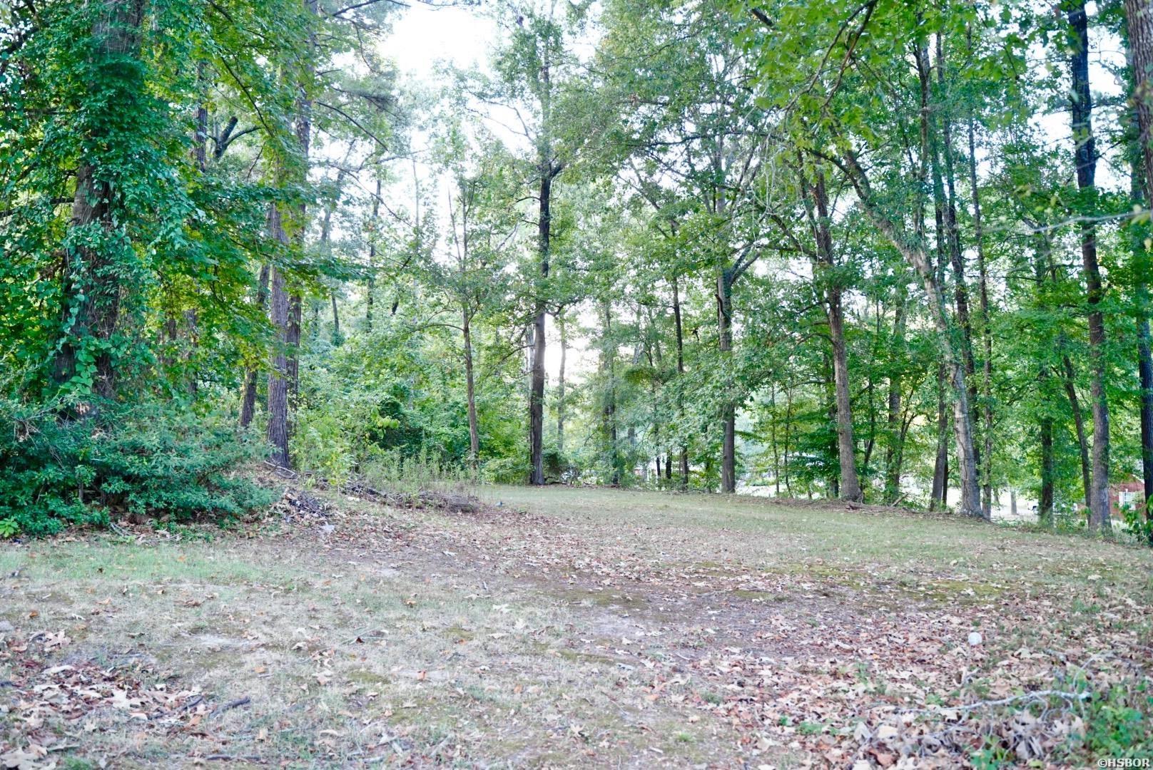 114 Pinnacle Drive Property Photo 36