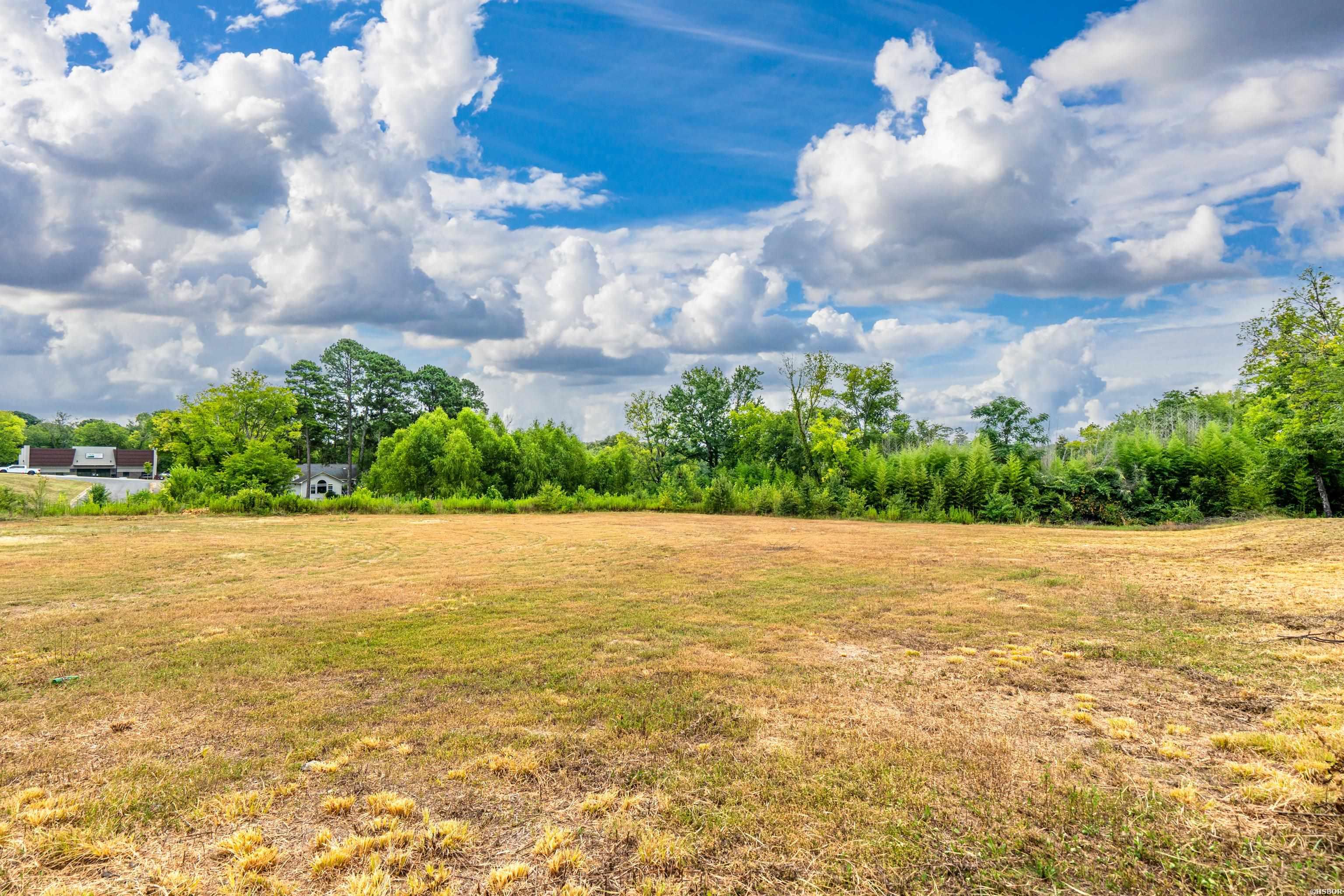 Tbd Reese Way Property Photo 11