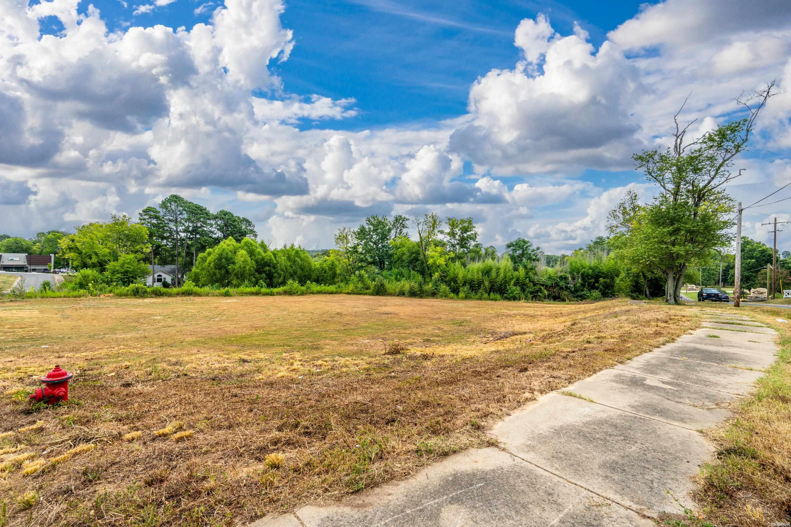 Tbd Reese Way Property Photo 12