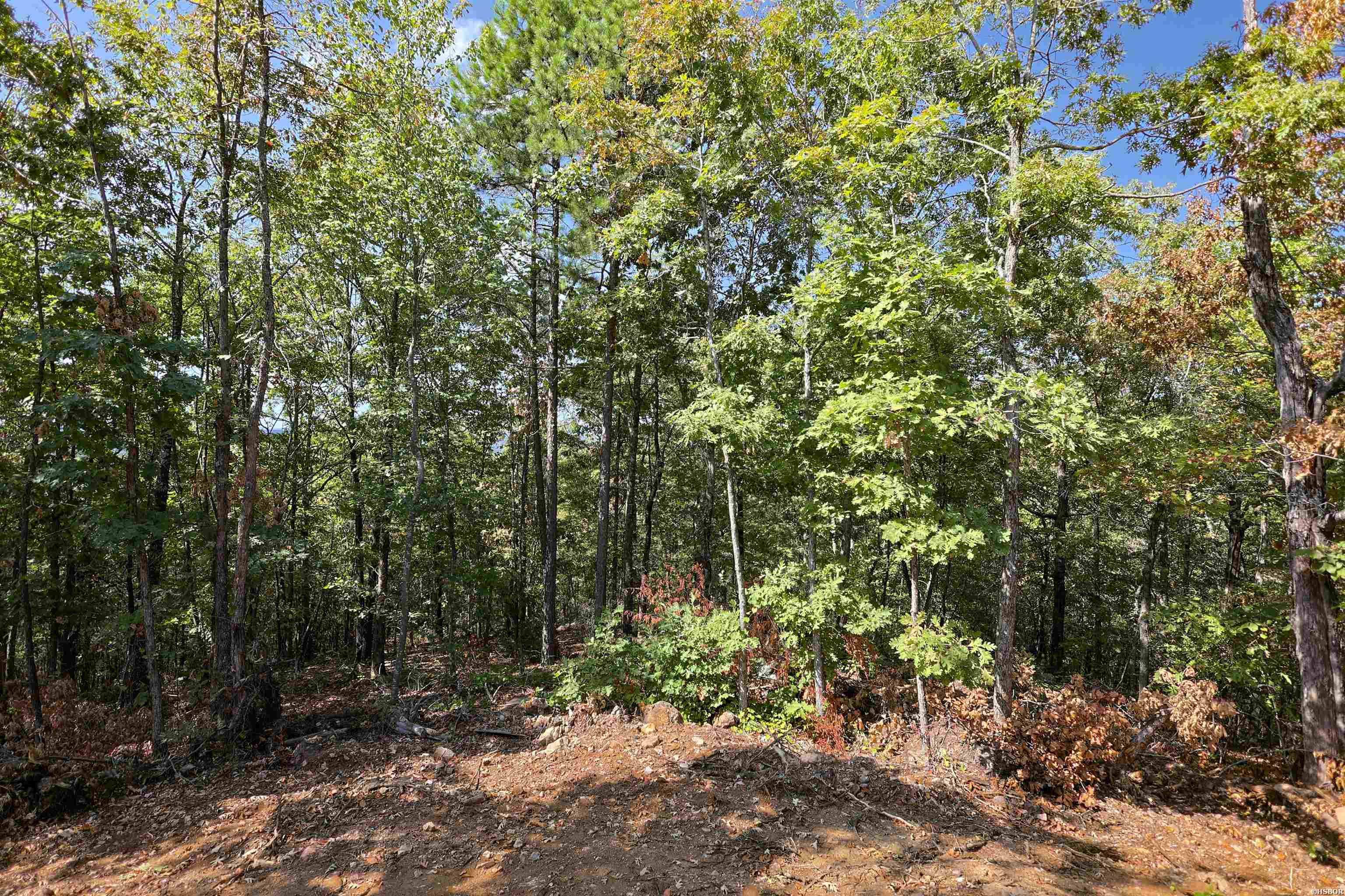 193 Hall Cemetery Road Property Photo 11