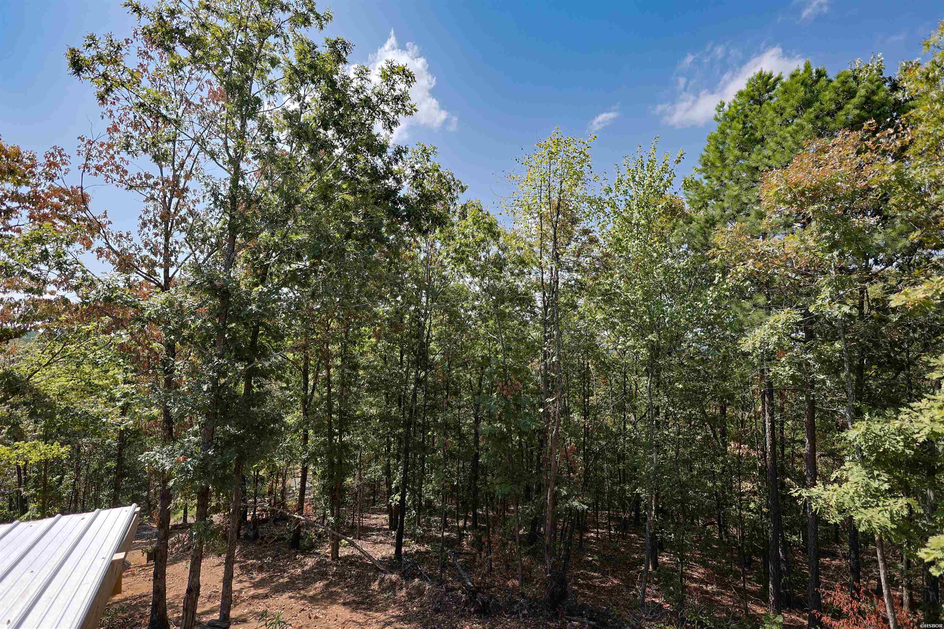 193 Hall Cemetery Road Property Photo 12