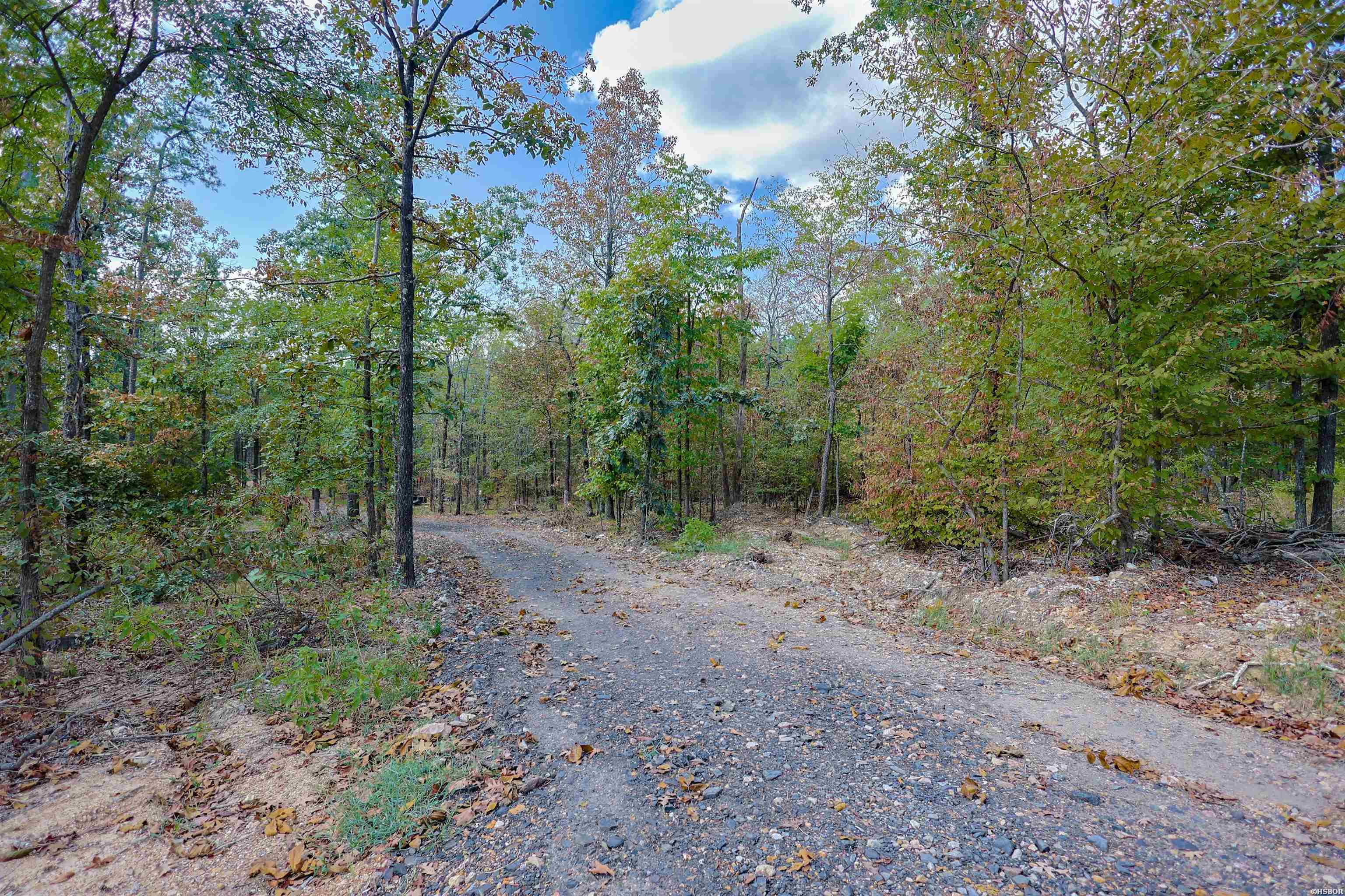 193 Hall Cemetery Road Property Photo 32