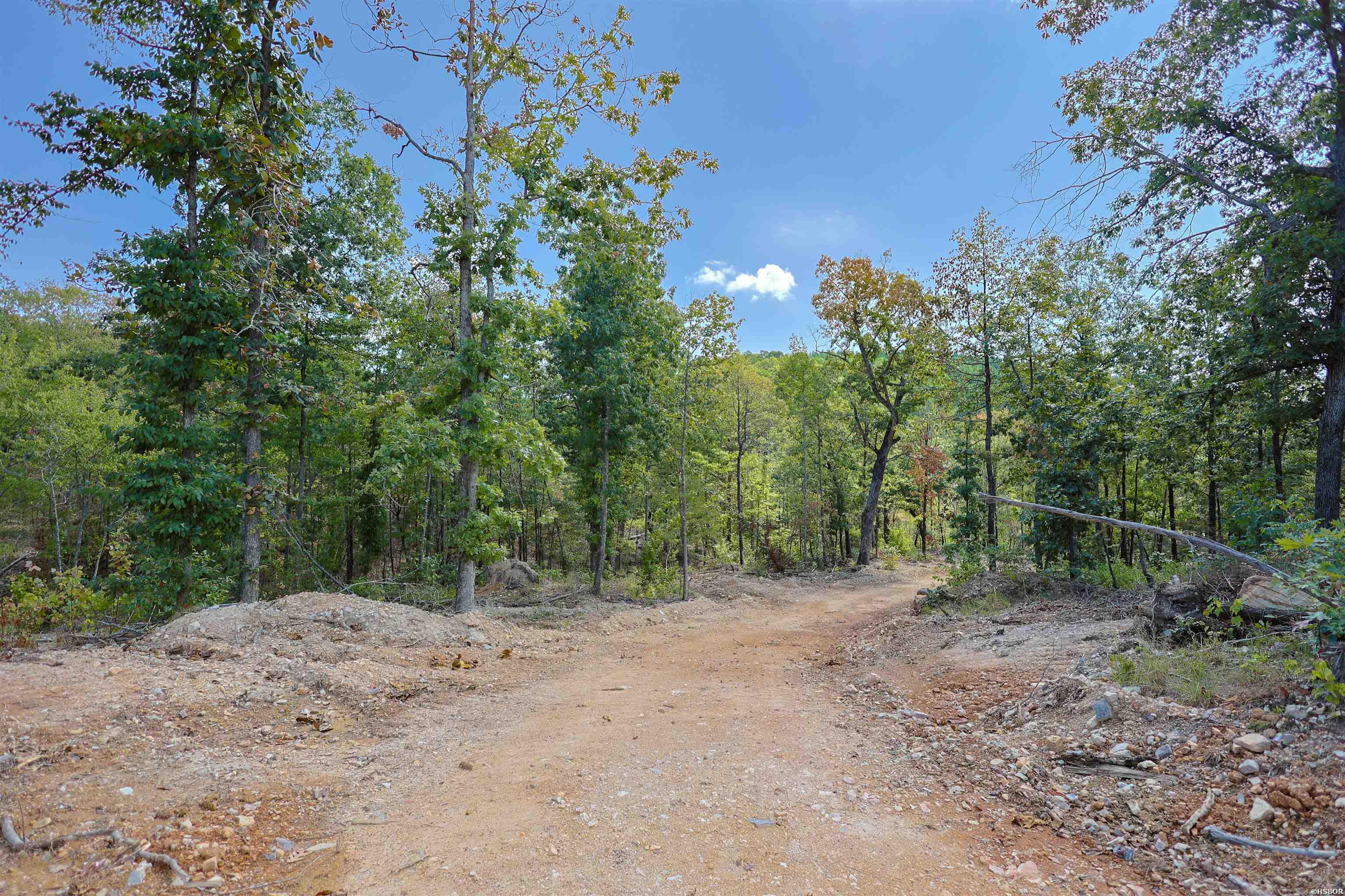 193 Hall Cemetery Road Property Photo 33