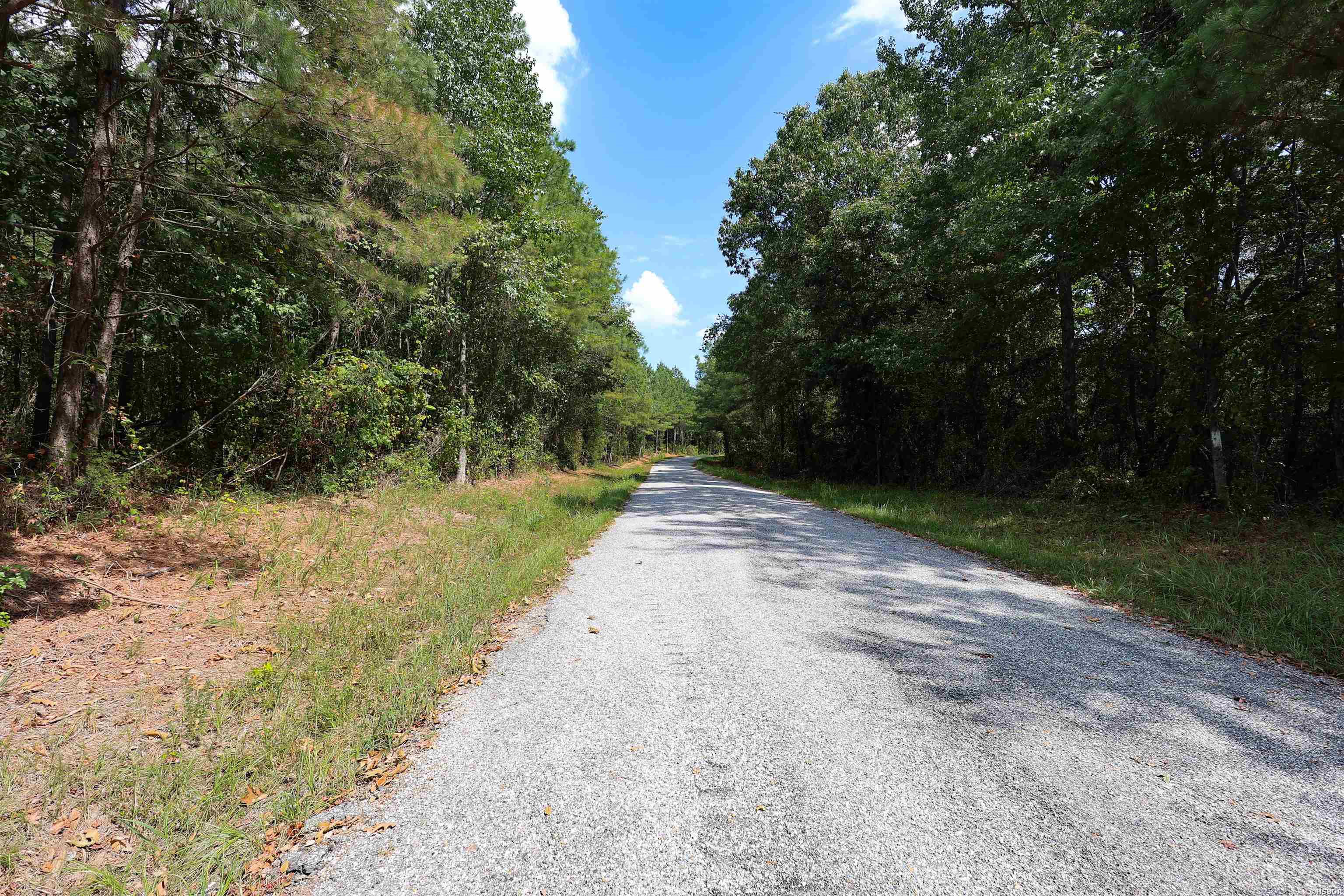 193 Hall Cemetery Road Property Photo 35