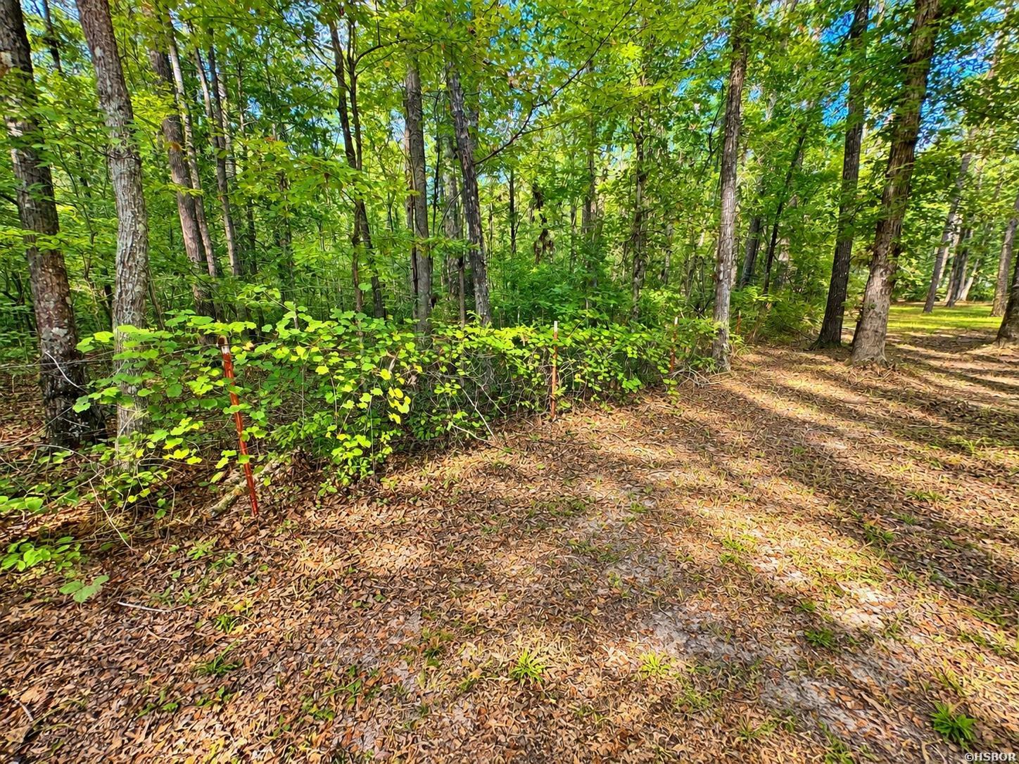 1902 Red Wagon Road Property Photo 20
