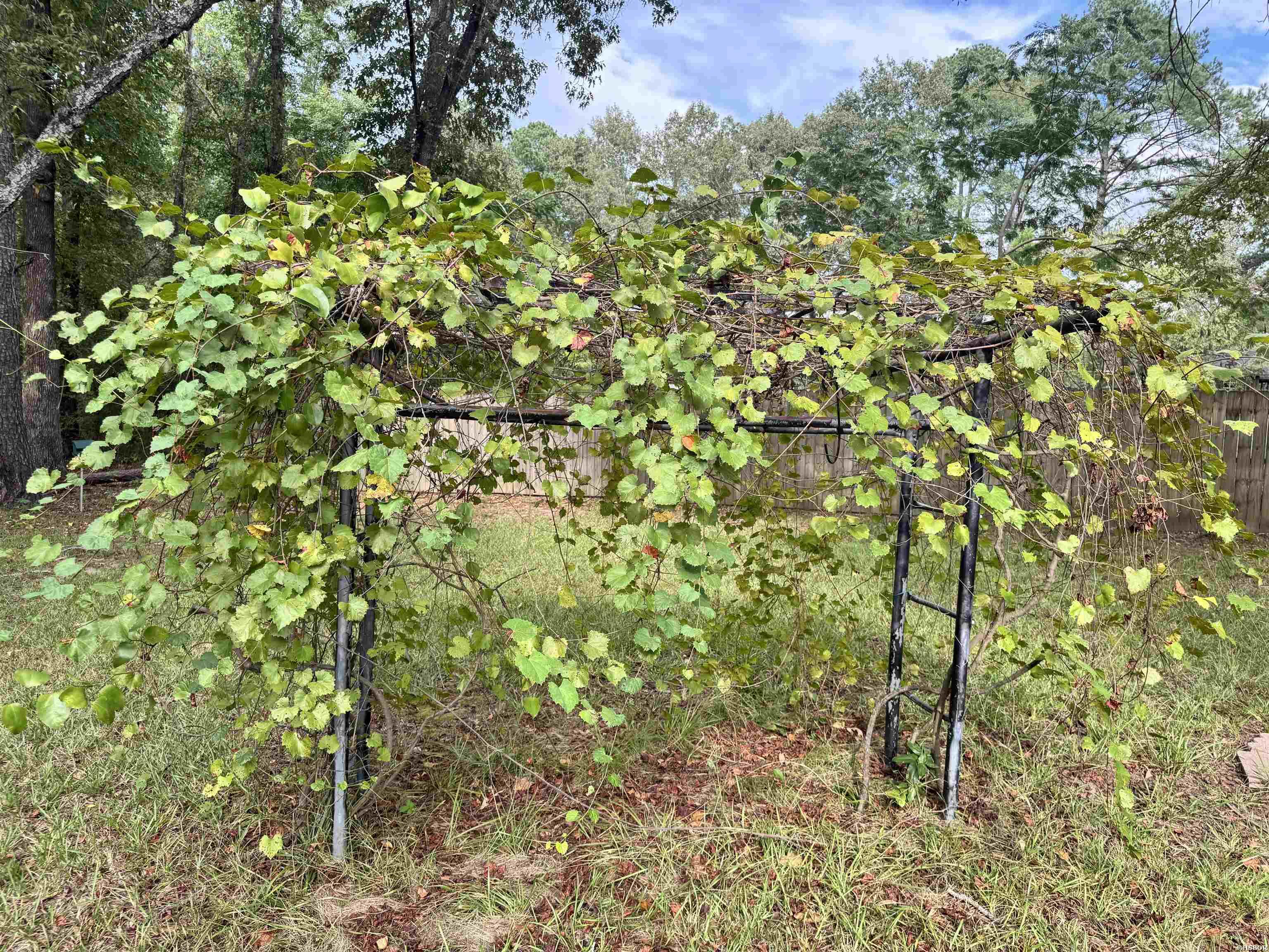 1902 Red Wagon Road Property Photo 26