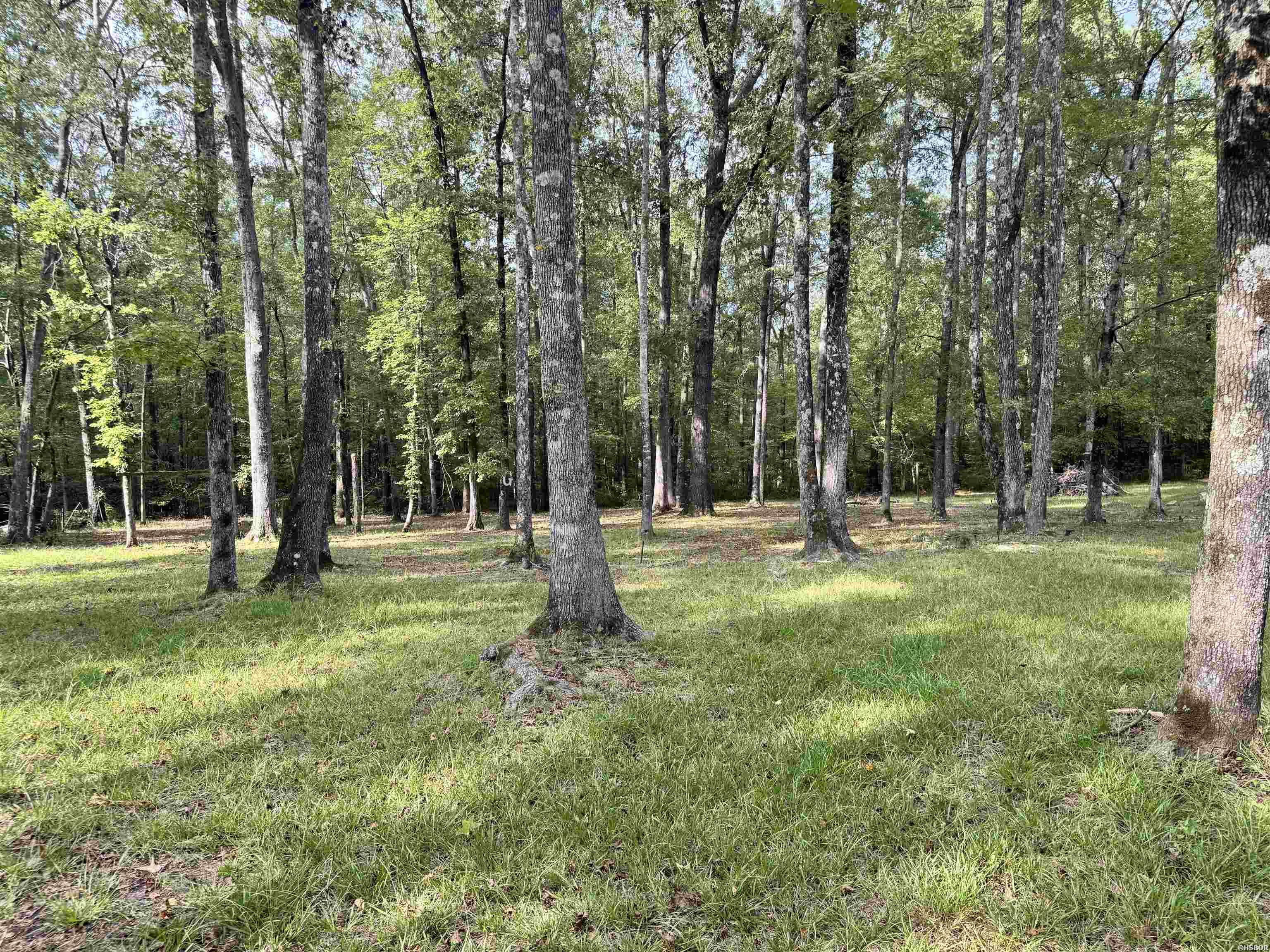 1902 Red Wagon Road Property Photo 28