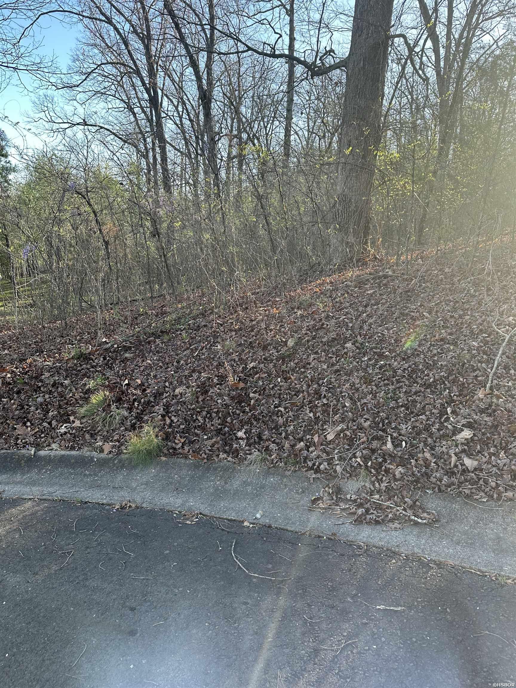 Tbd Aprilgrace Court Property Photo 4
