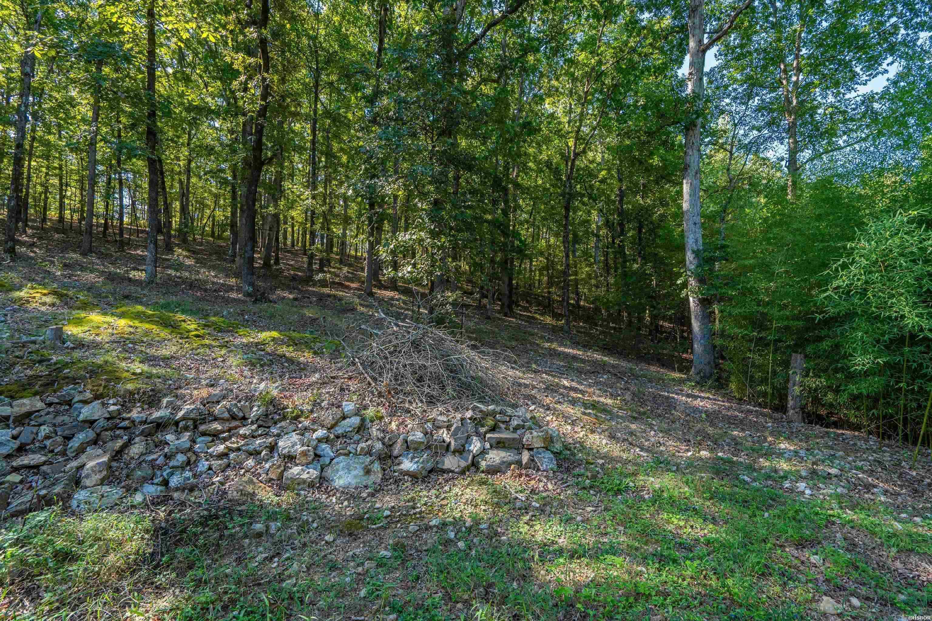 219 Oak Valley Drive Property Photo 35