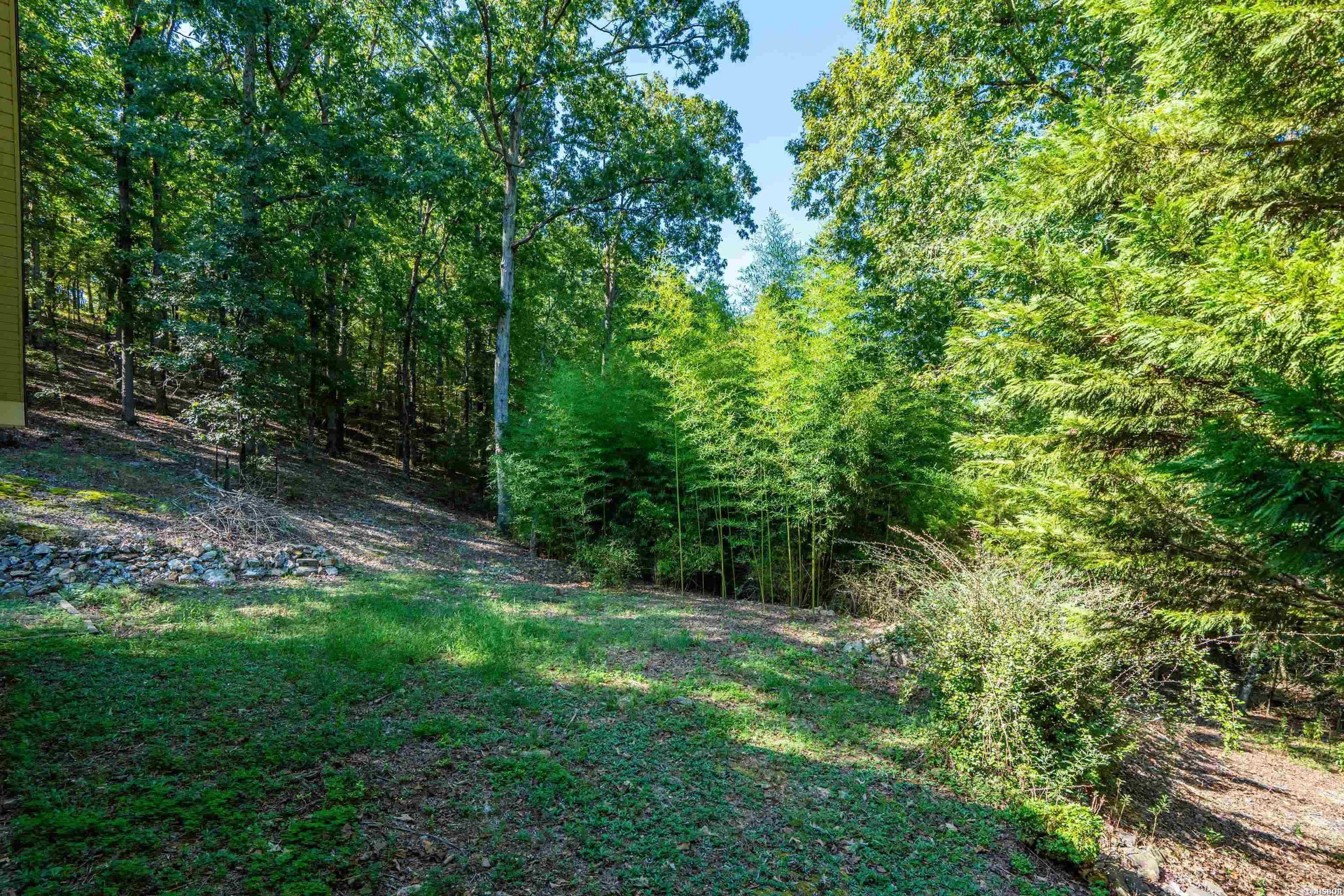 219 Oak Valley Drive Property Photo 38