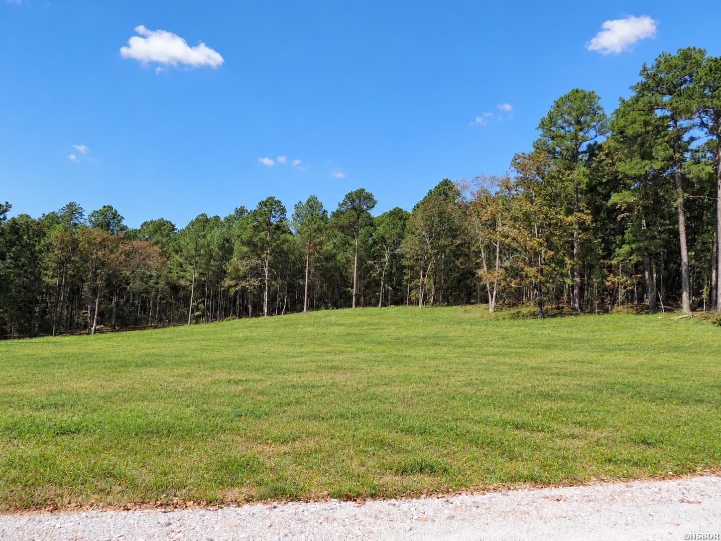 9 Fieldstone Pass Property Photo 2