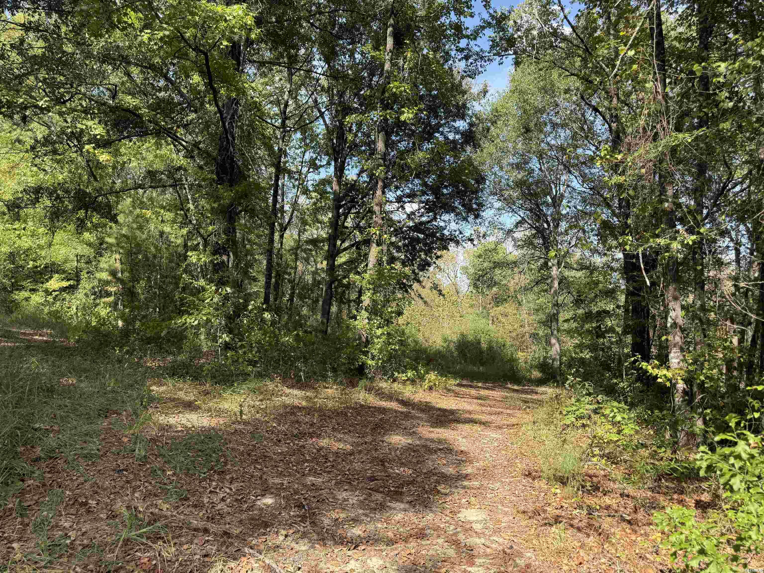 4956 Hickory Grove Road Property Photo 40