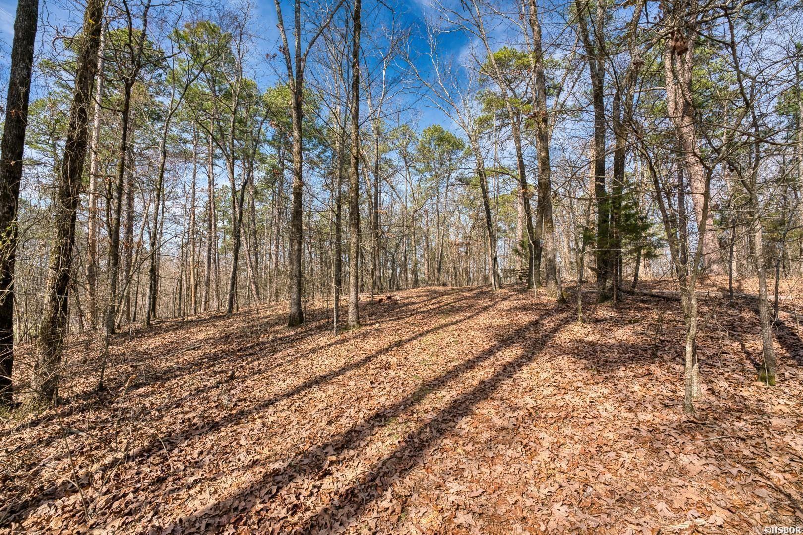158 & 144 (a&b) Isaac Lane Property Photo 47