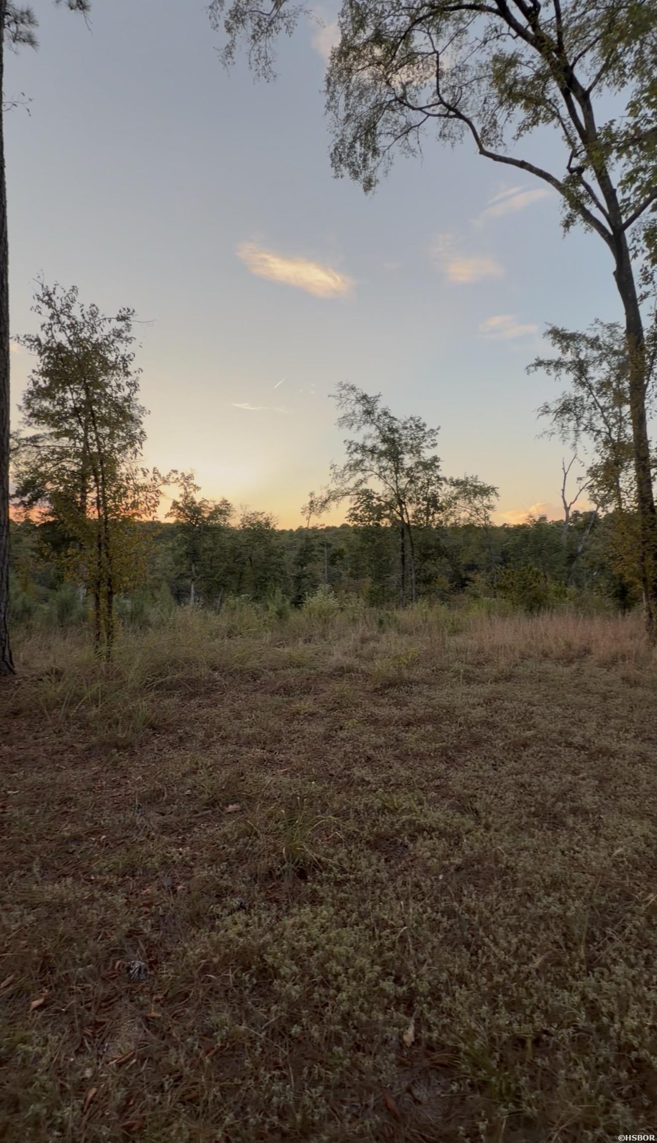 000 Arapaho Loop Property Photo 8