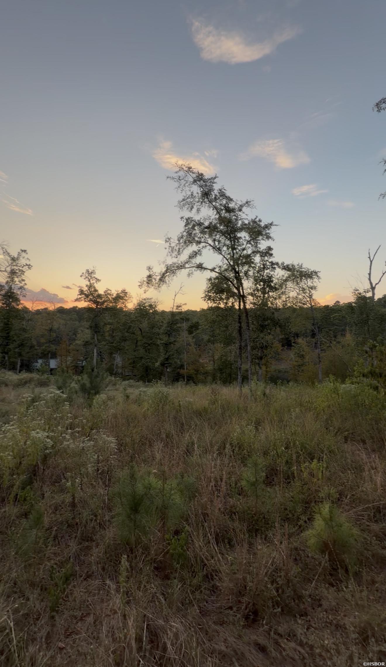 000 Arapaho Loop Property Photo 9
