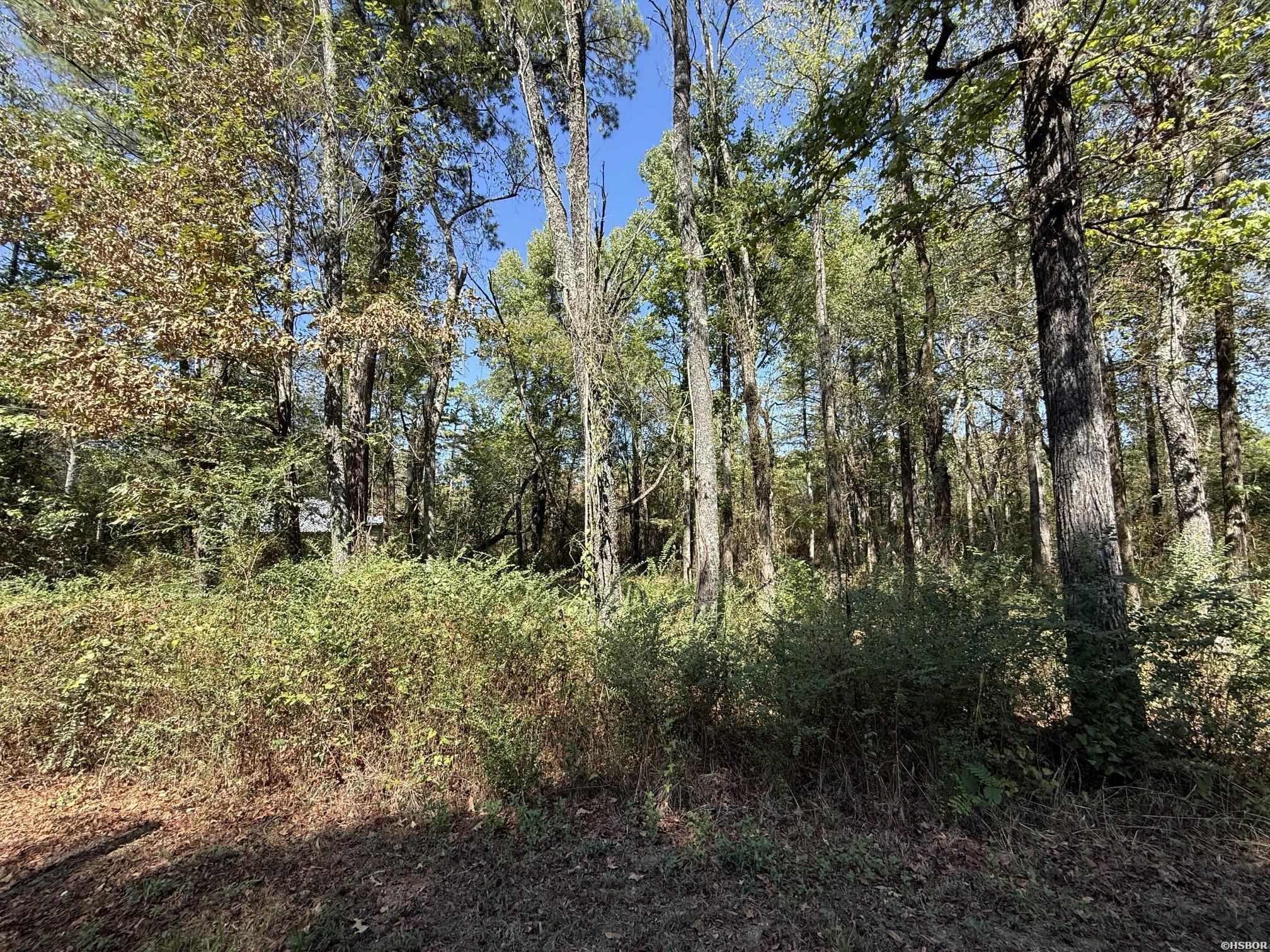 Xxx Pirate Drive Property Photo 3