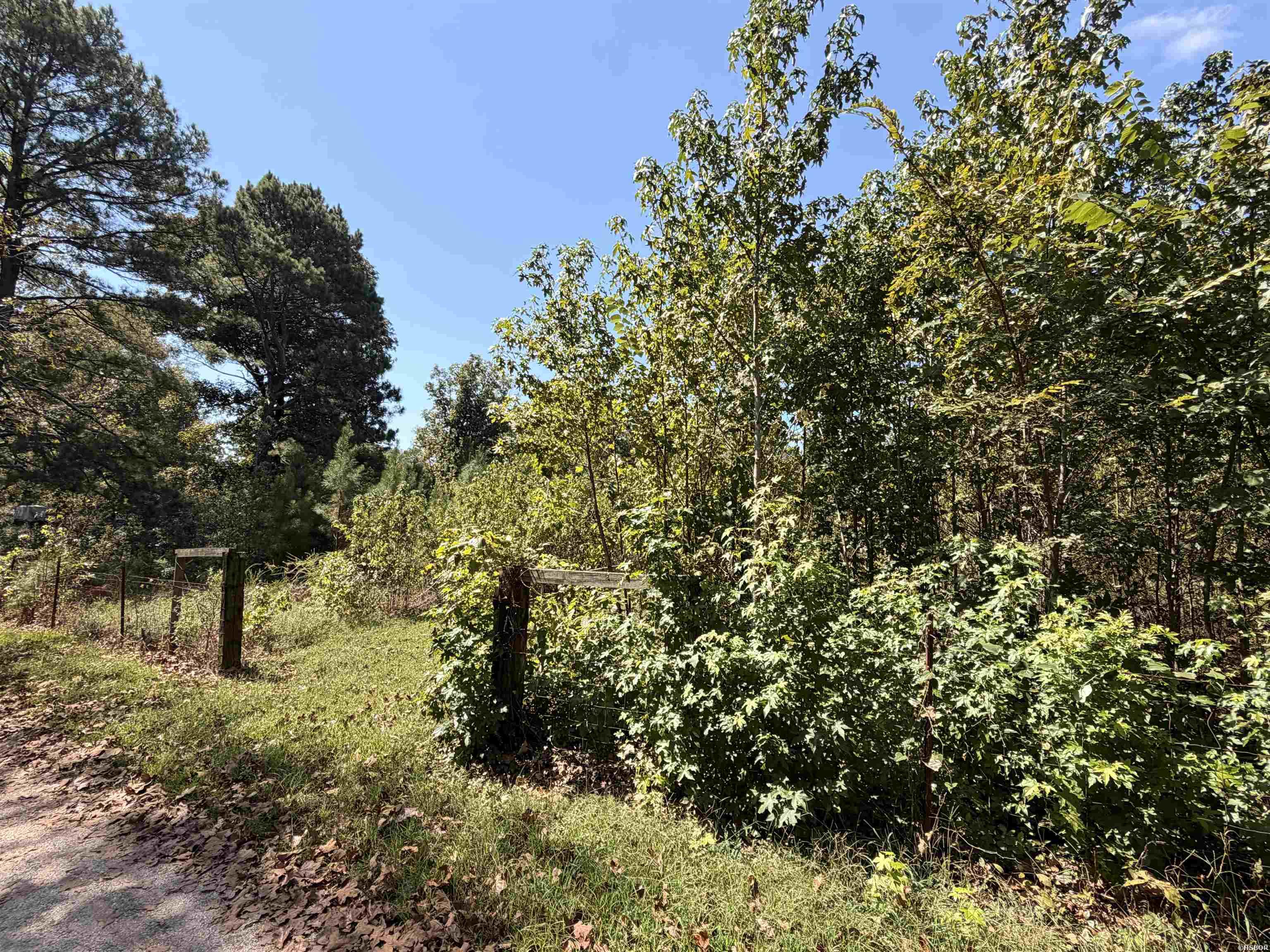 0 Amity Road Property Photo 2