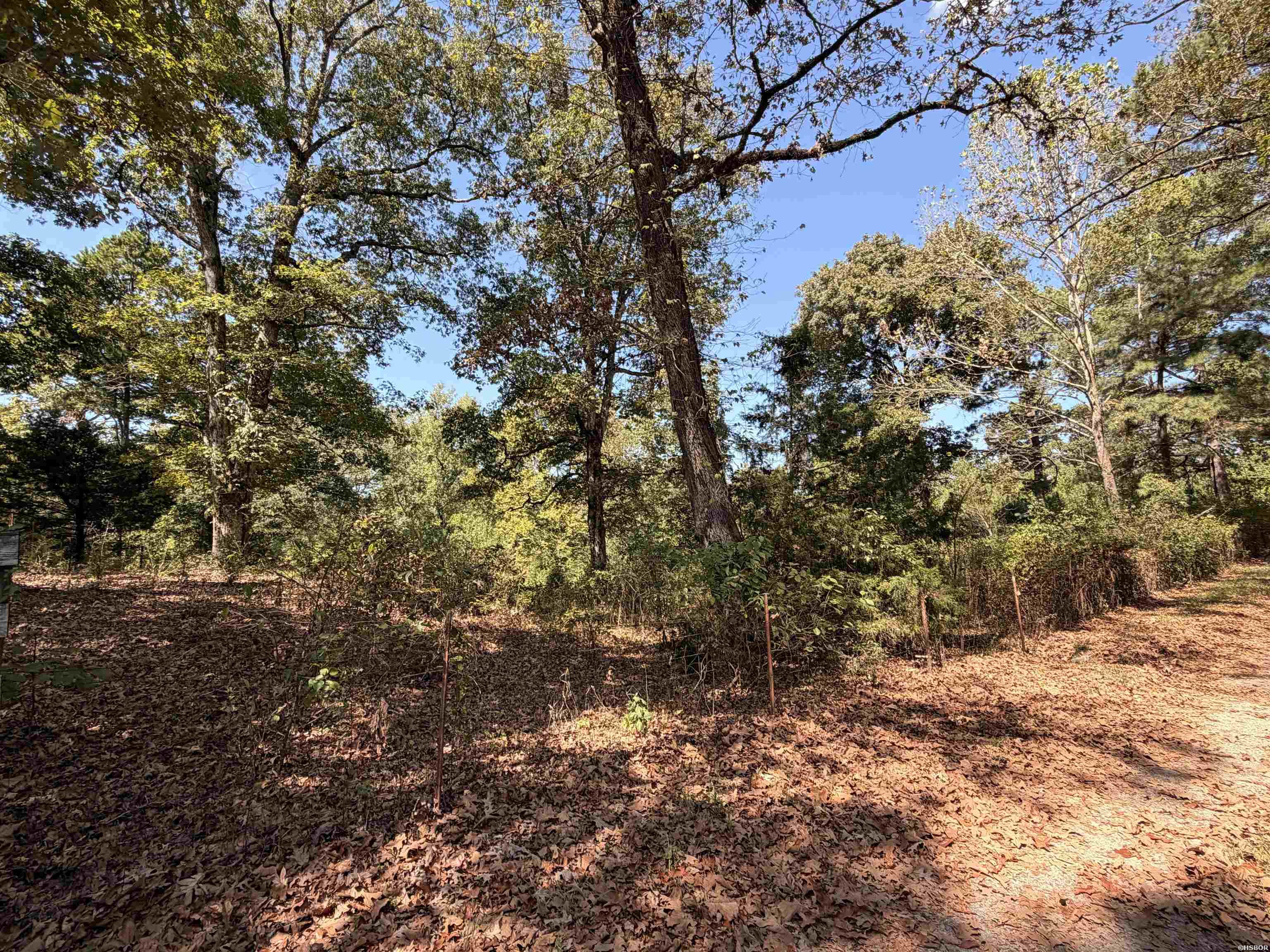 0 Amity Road Property Photo 3