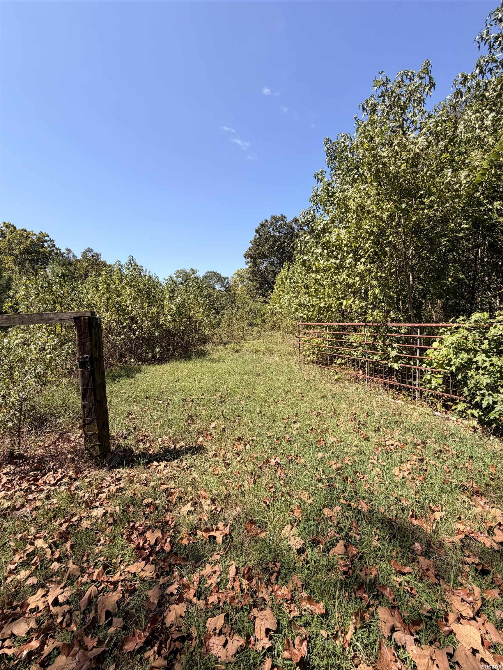 0 Amity Road Property Photo 6