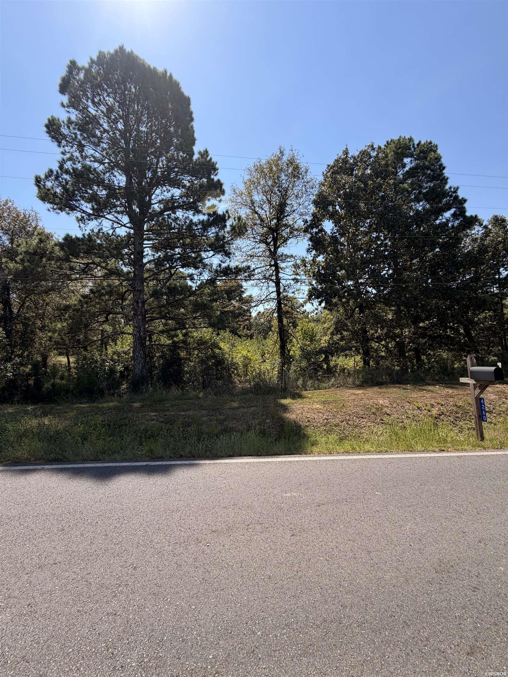 0 Amity Road Property Photo 8