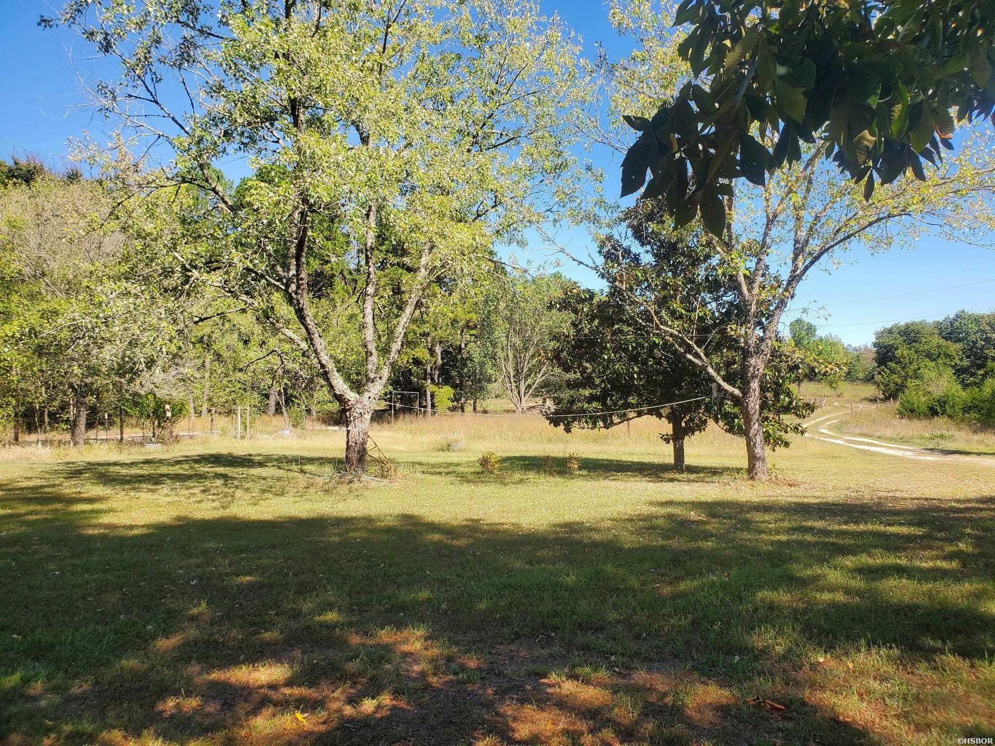 387 Kevin Property Photo 14