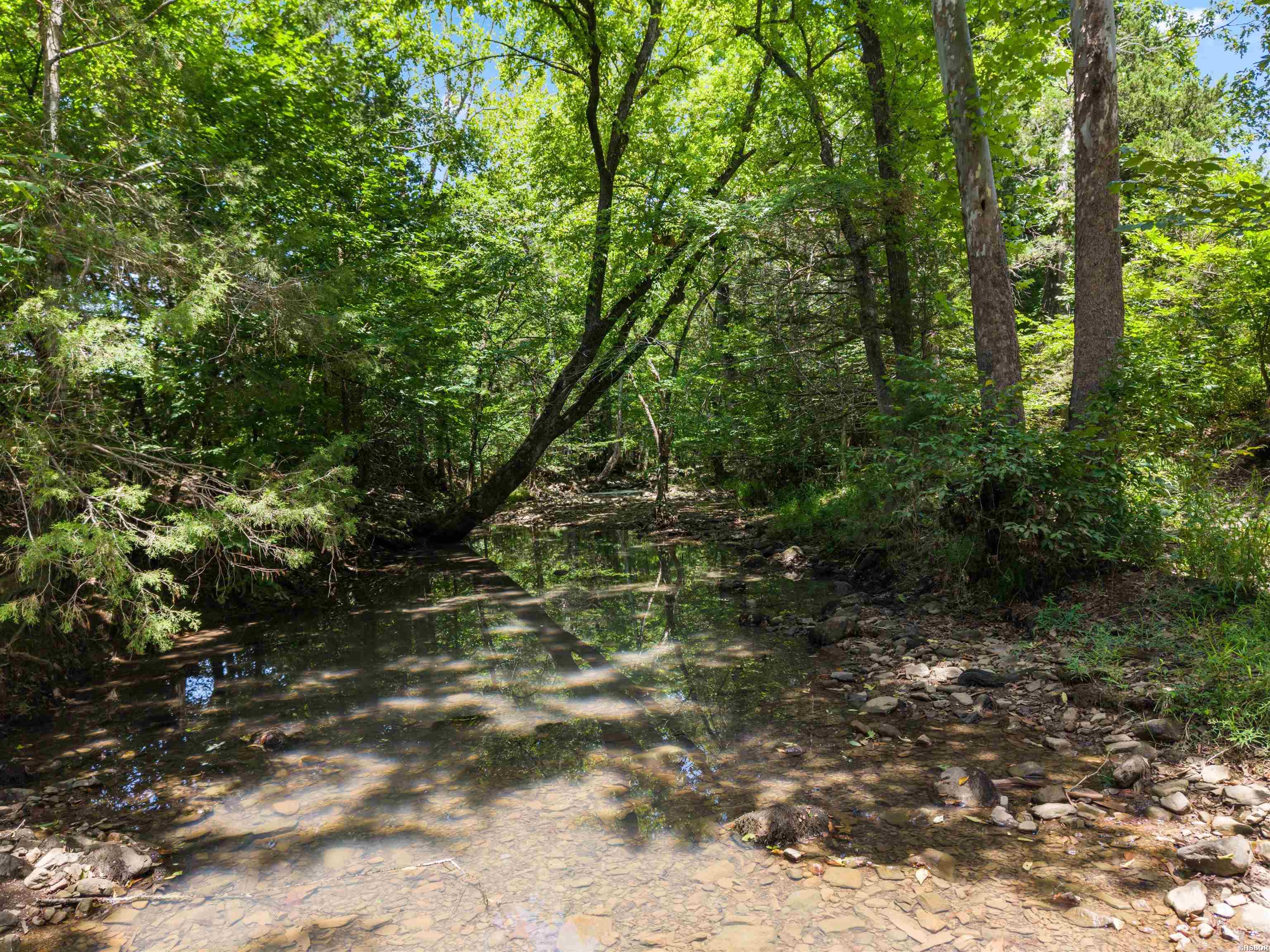 18401 Hwy 28 Property Photo 29