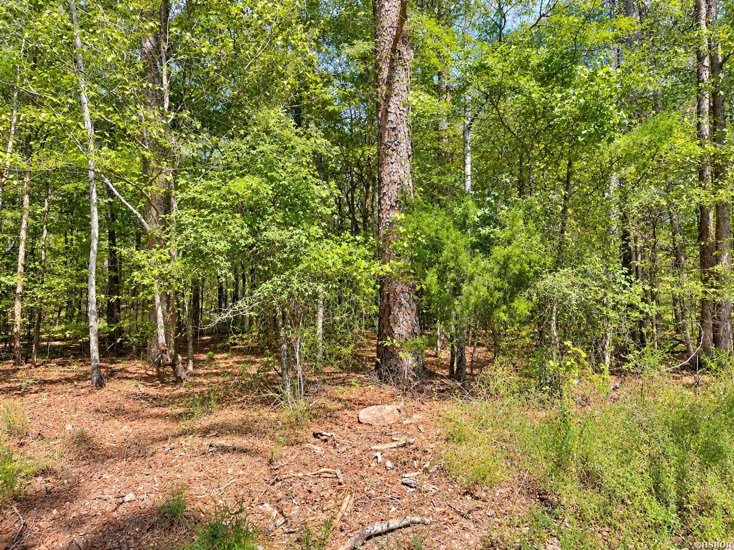 Tbd (60) Manfred Road Property Photo 3