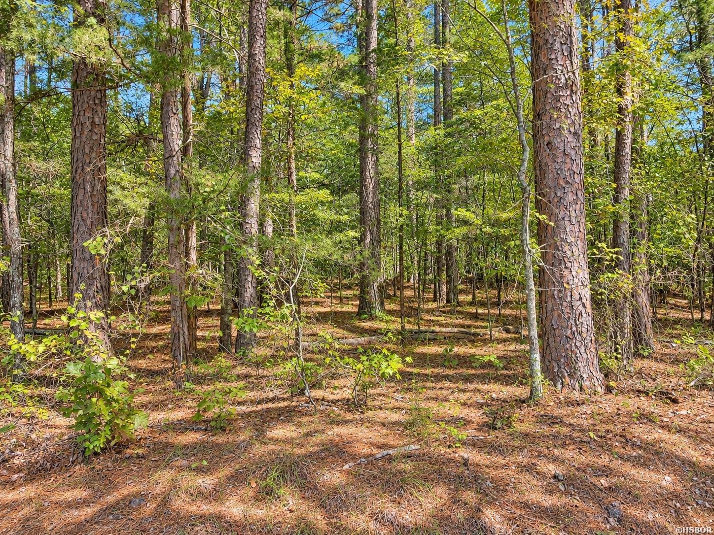 Tbd (60) Manfred Road Property Photo 9