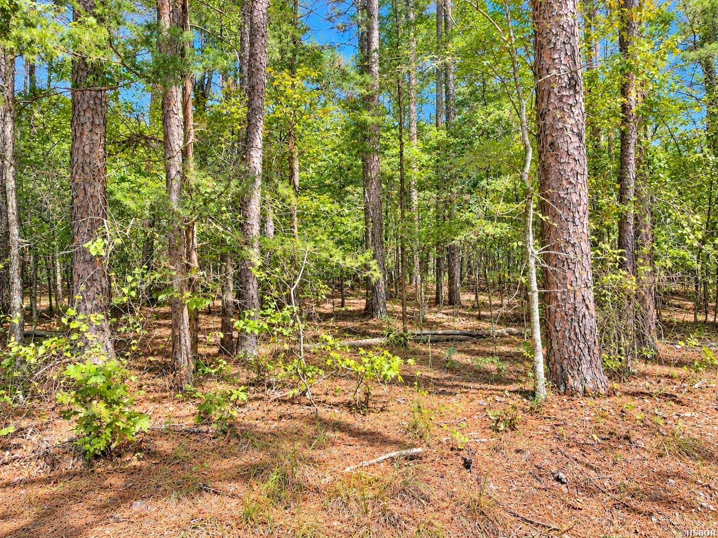 Tbd Manfred Road Property Photo 8