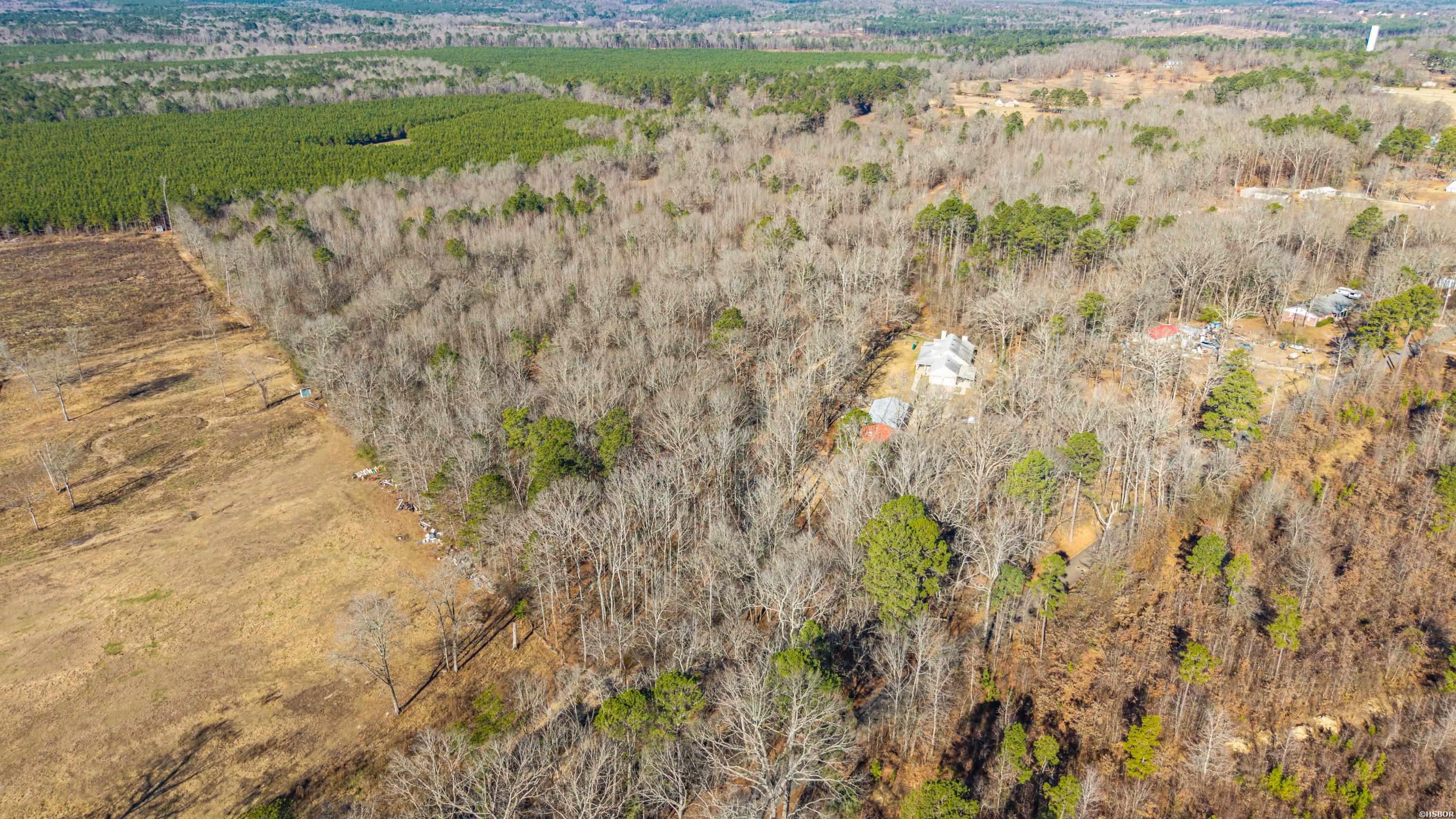 1241 Kirkpatrick Road Property Photo 46