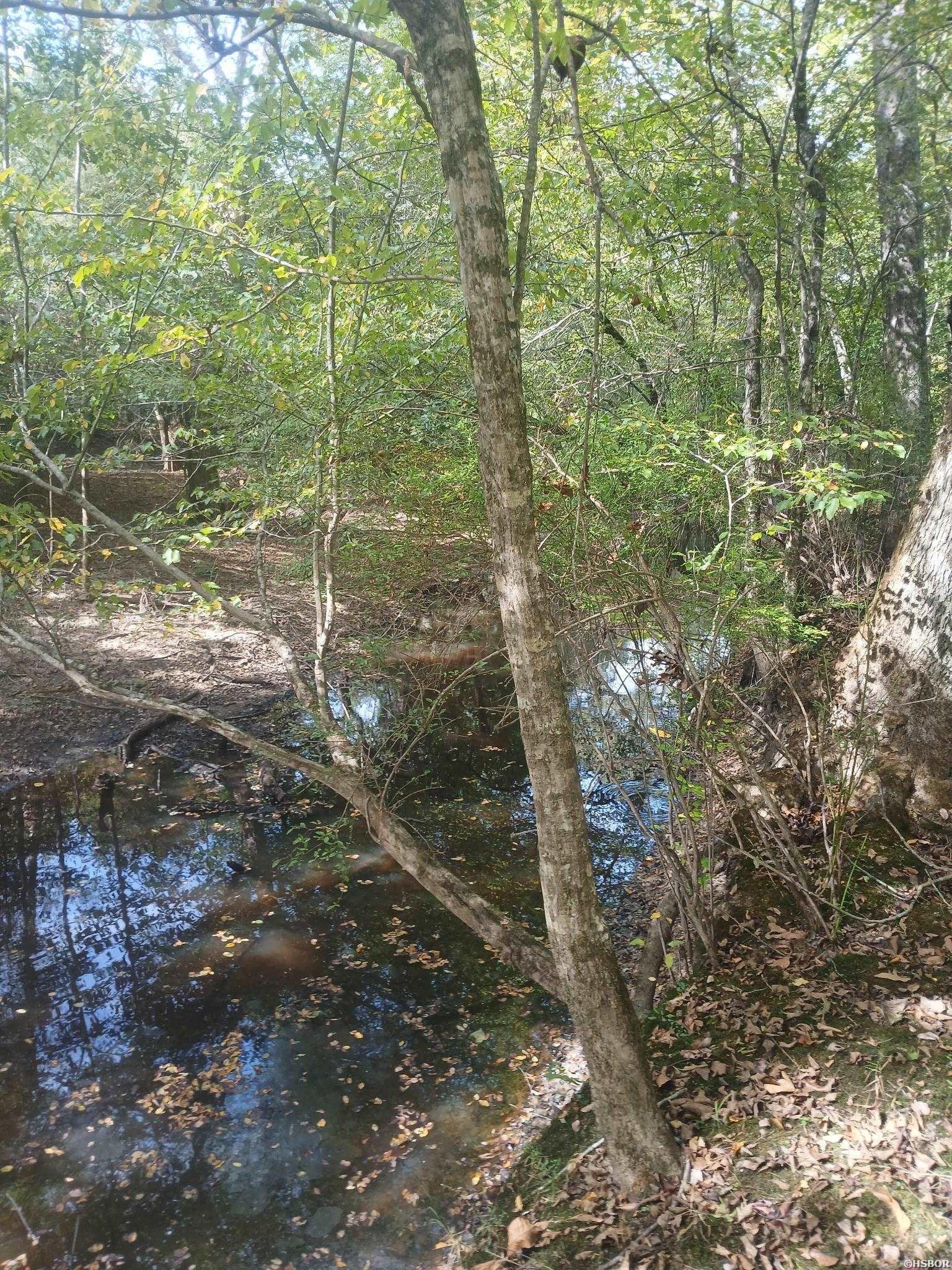 33.00 Acres Hwy 270 Property Photo 3