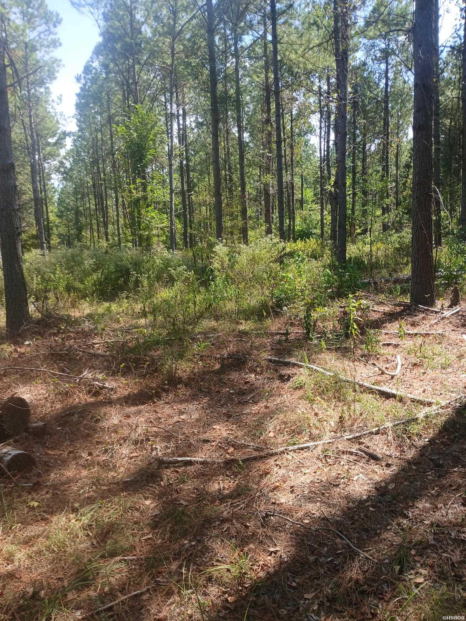 33.00 Acres Hwy 270 Property Photo 4