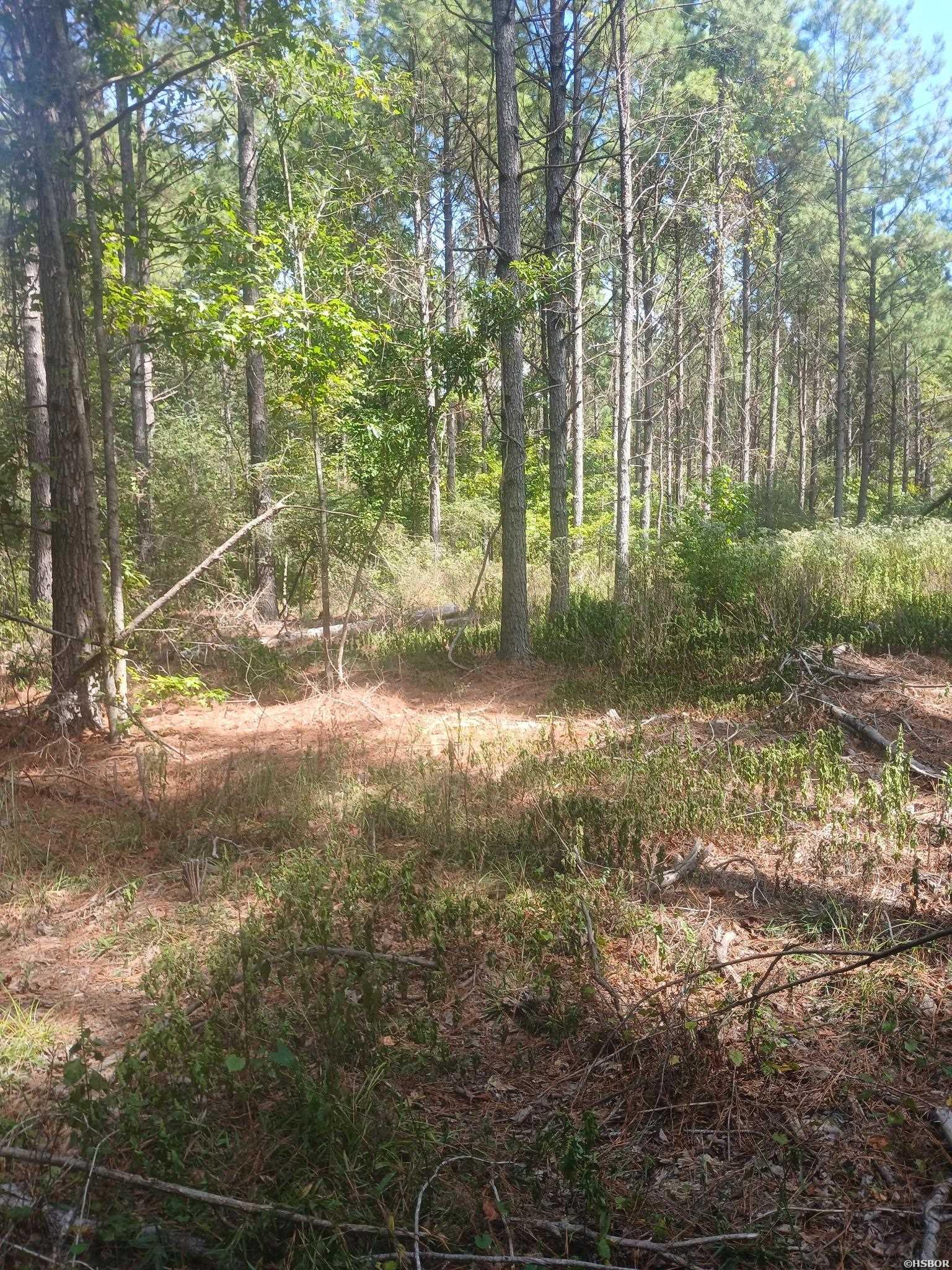 33.00 Acres Hwy 270 Property Photo 6