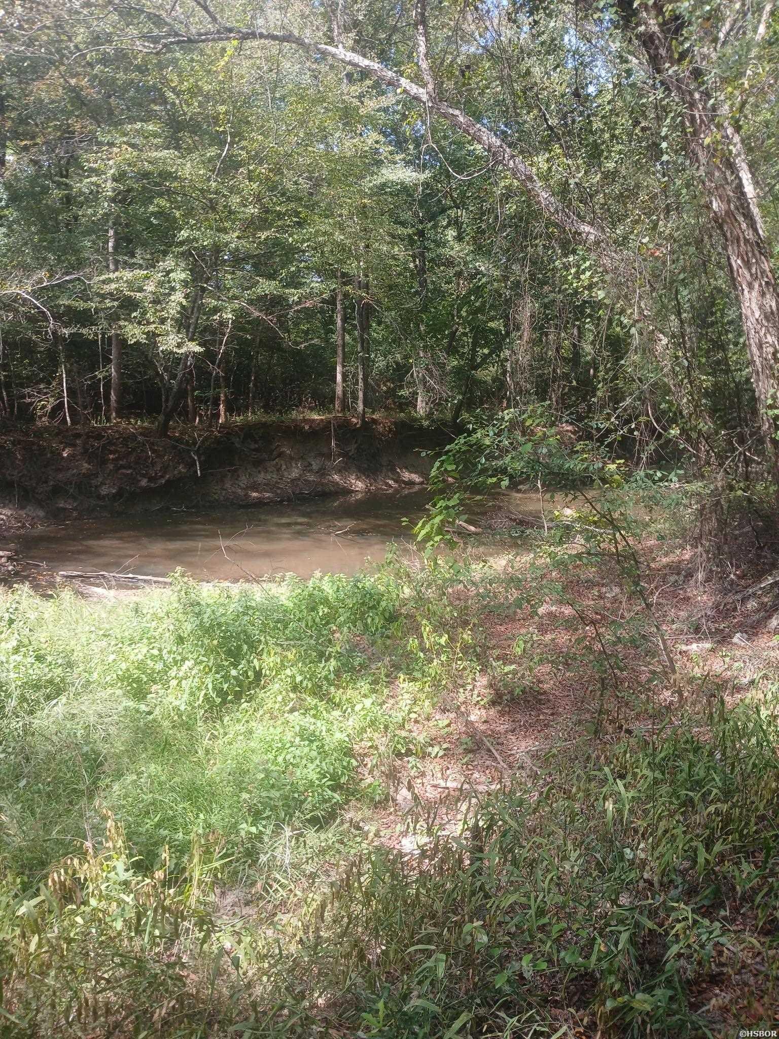 33.00 Acres Hwy 270 Property Photo 7
