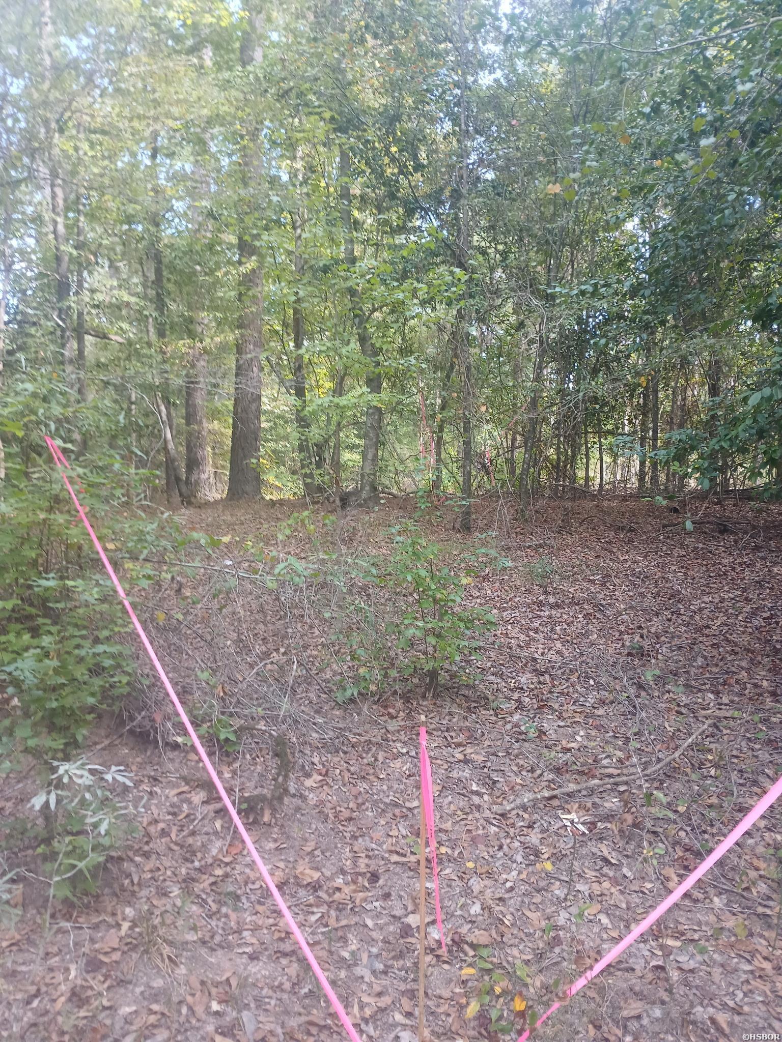 33.00 Acres Hwy 270 Property Photo 11