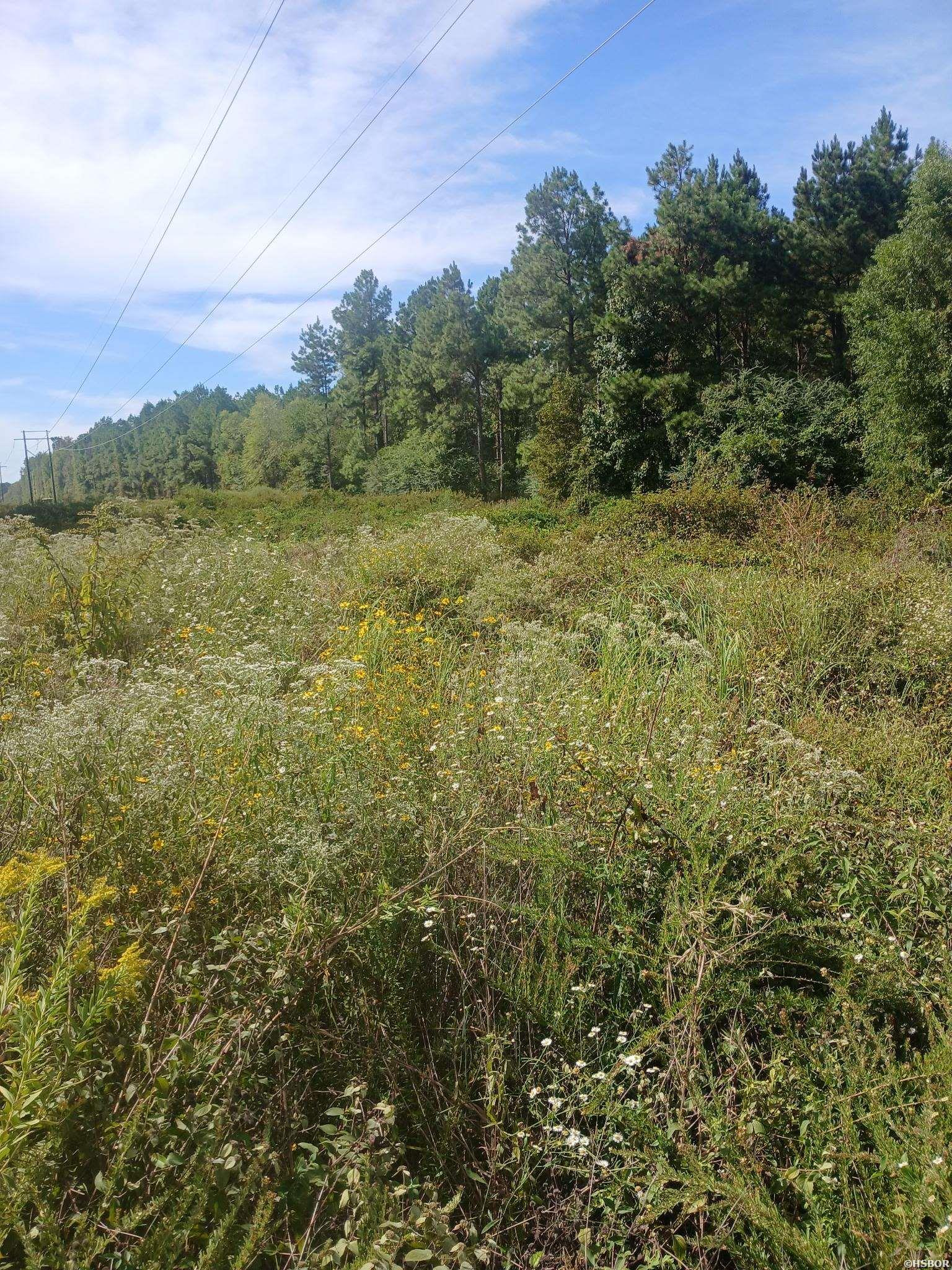 33.00 Acres Hwy 270 Property Photo 13