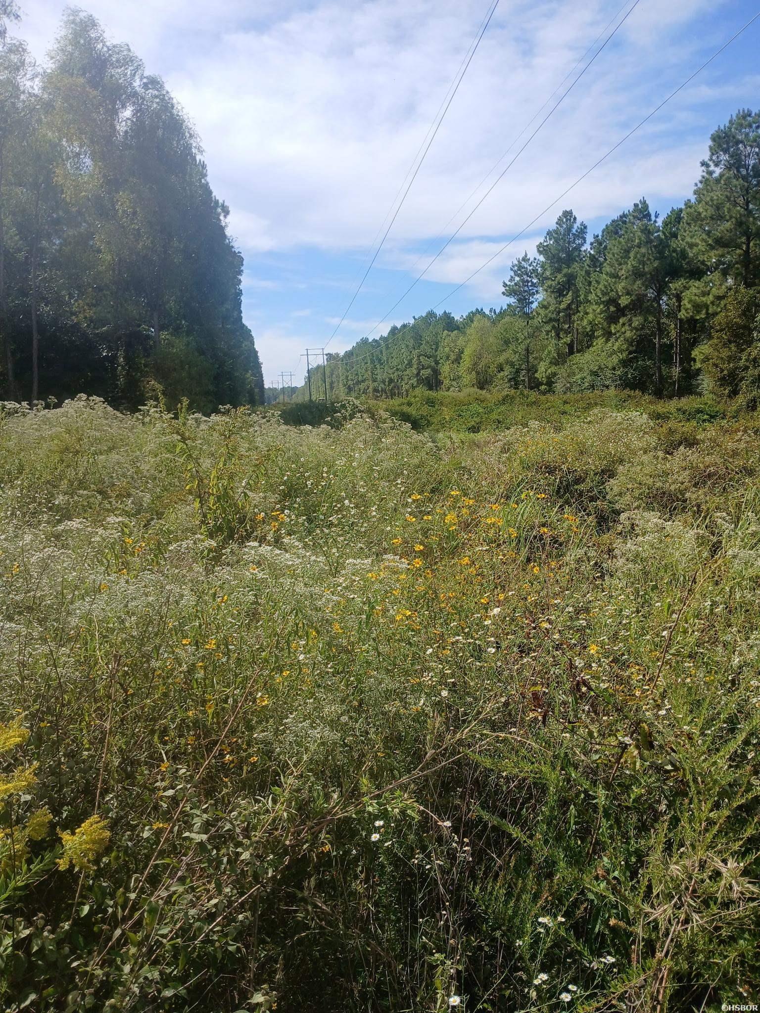 33.00 Acres Hwy 270 Property Photo 14