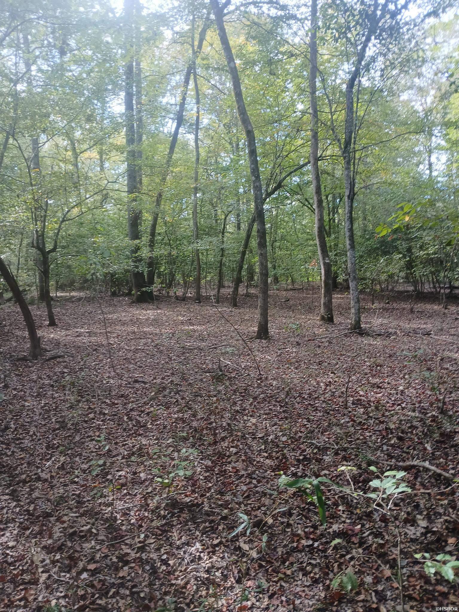 33.00 Acres Hwy 270 Property Photo 19