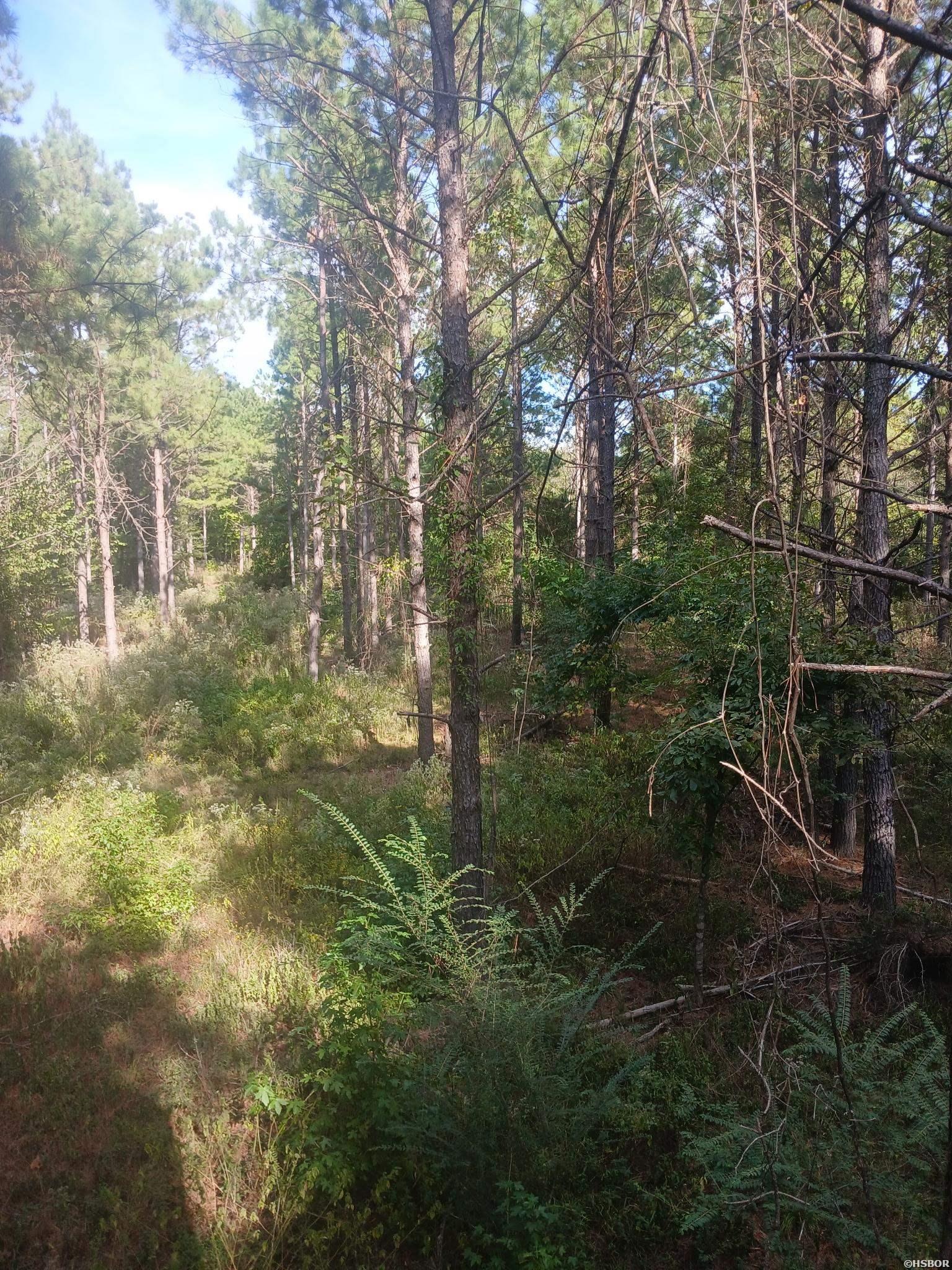 33.00 Acres Hwy 270 Property Photo 23