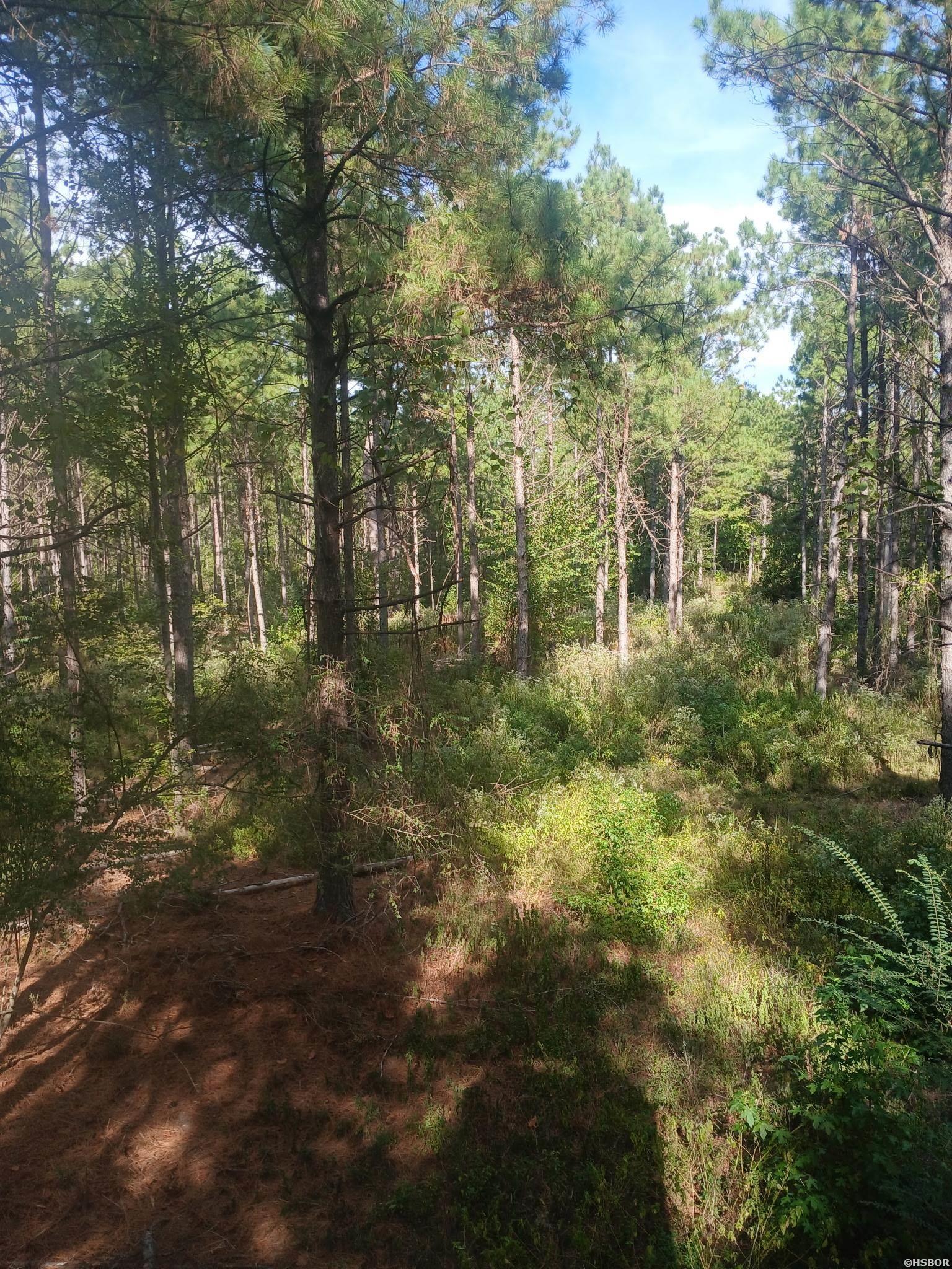 33.00 Acres Hwy 270 Property Photo 24