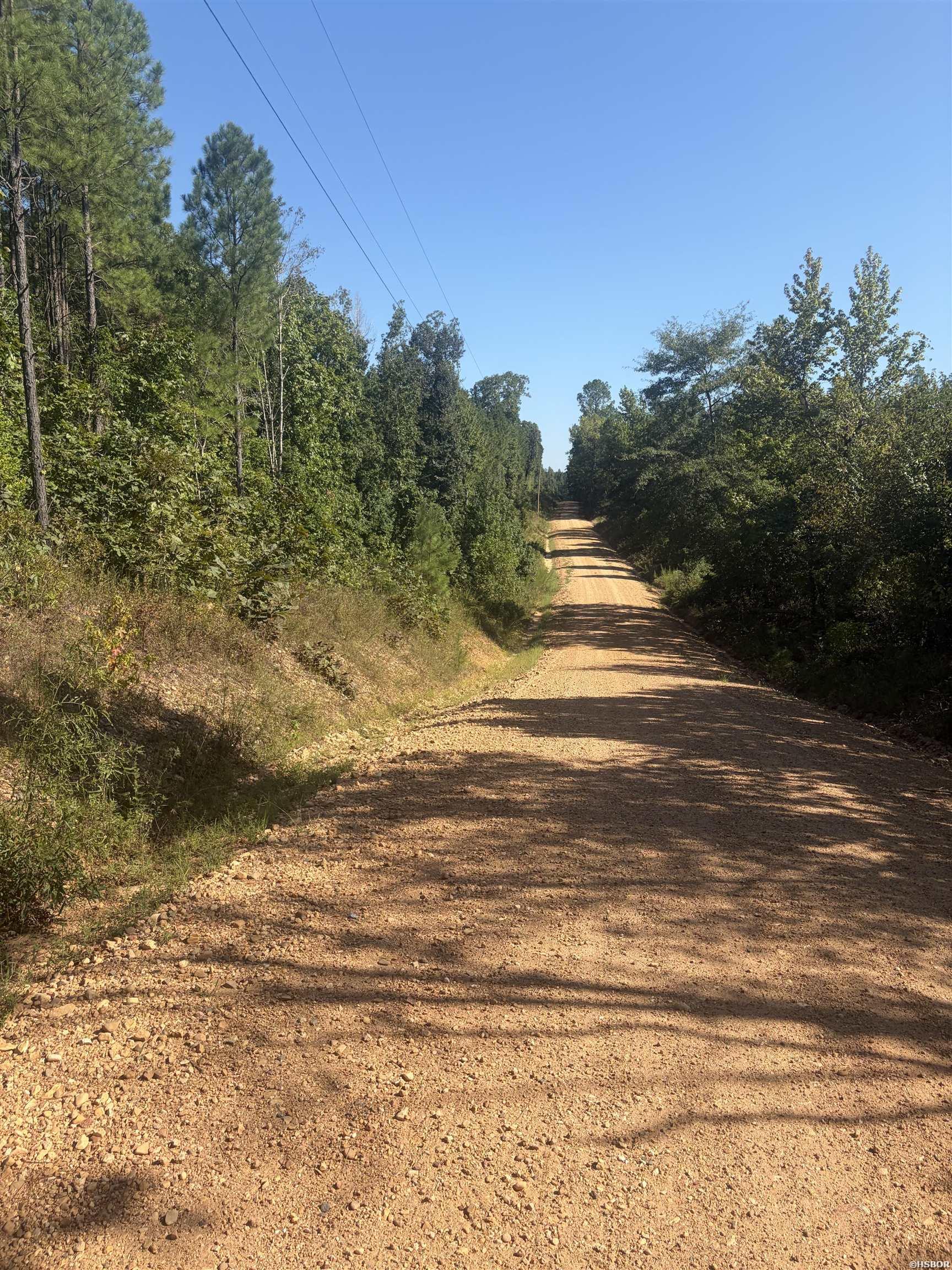 Tbd Roundtree Road Property Photo 4