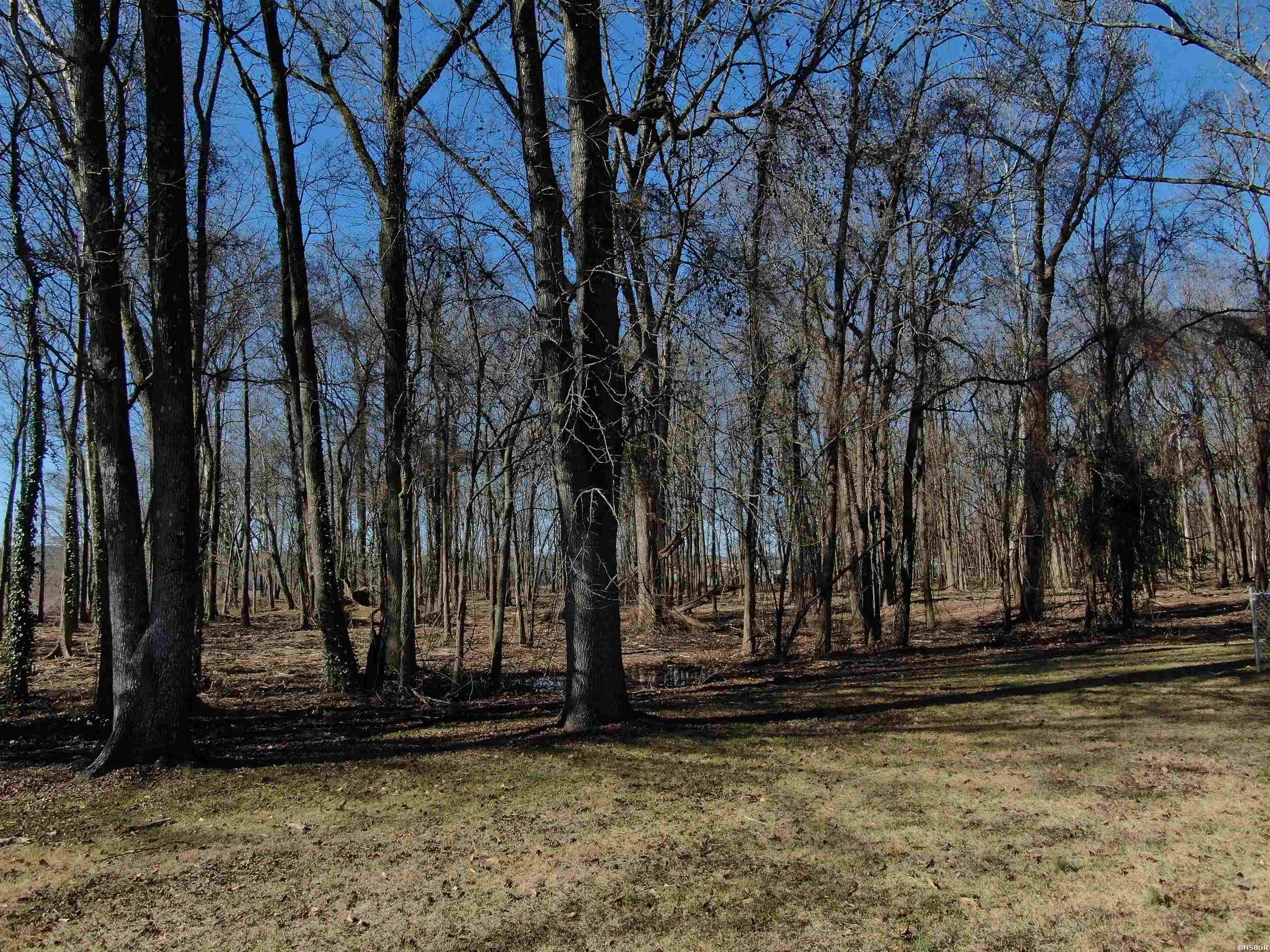 Xxx Rivermist Point Property Photo 29