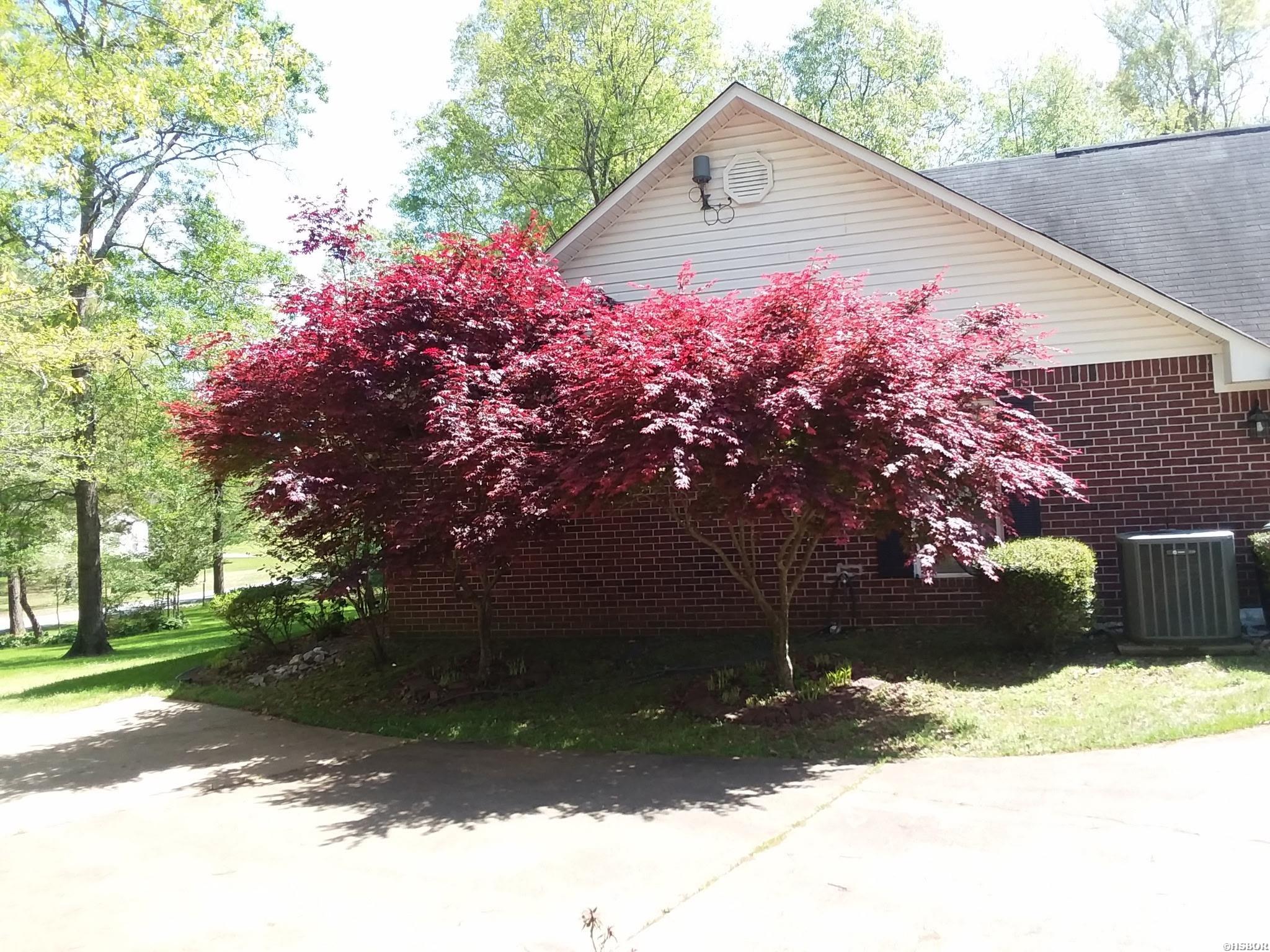290 Whispering Winds Drive Property Photo 39