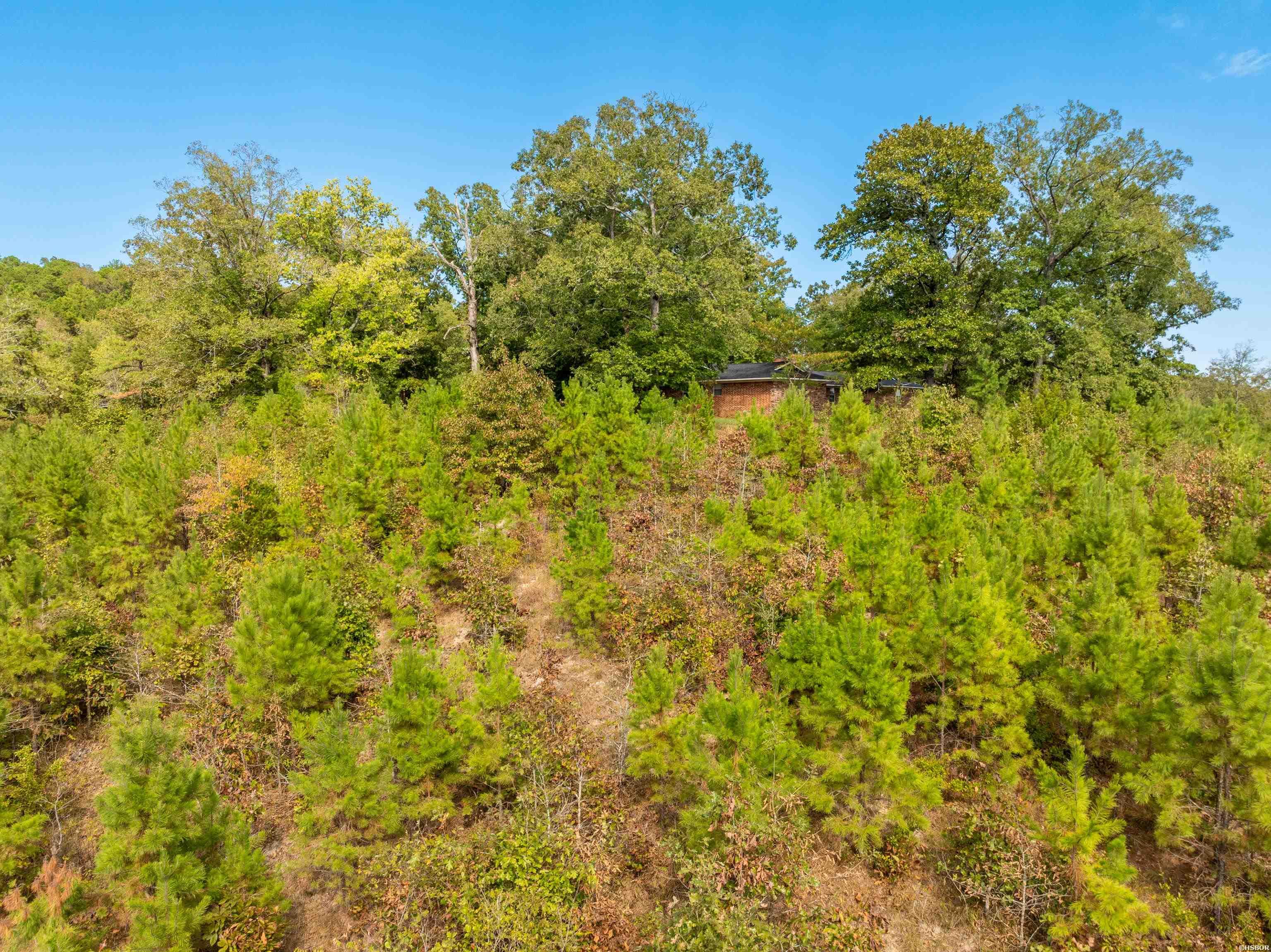 2164 Old Bear Road Property Photo 38