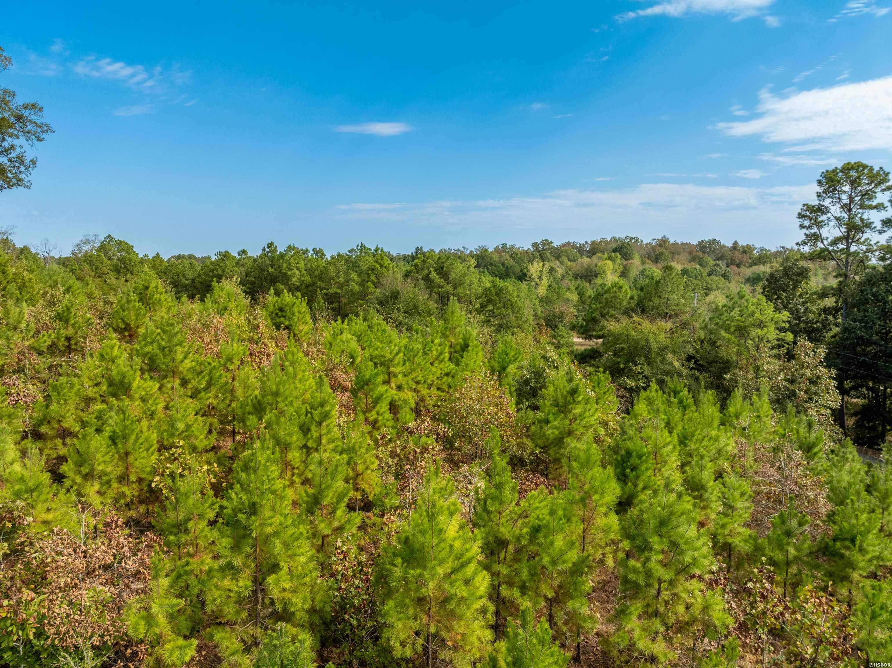 2164 Old Bear Road Property Photo 40
